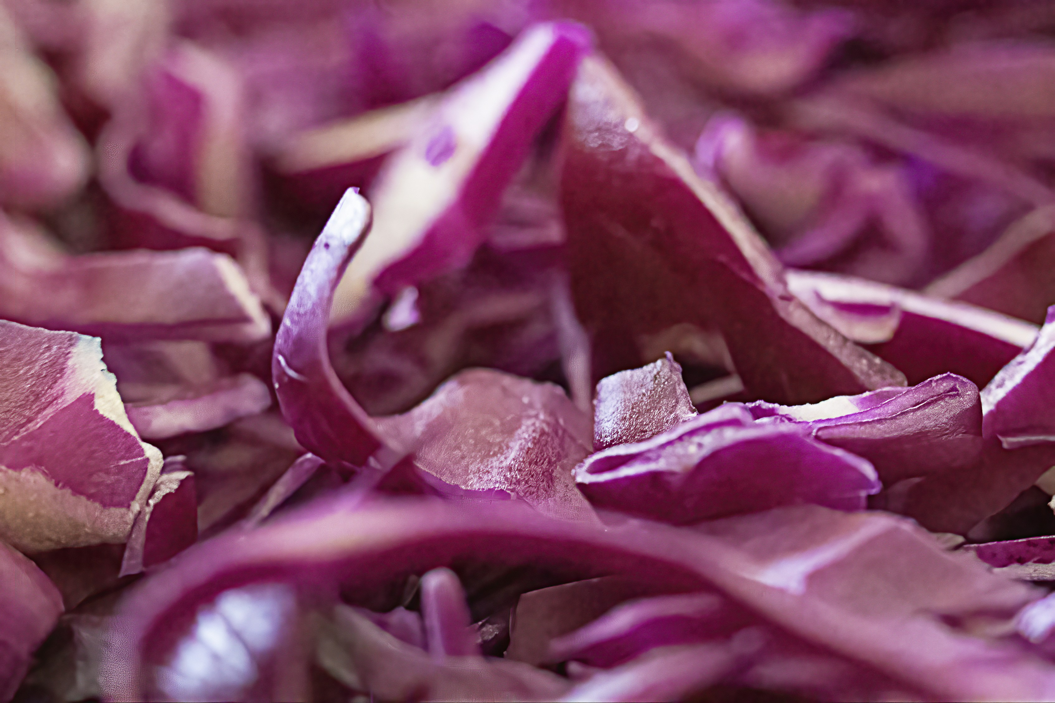 Photo by hicarodecastro