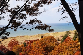 A scenic guided tour group enjoying the vibrant autumn colors of Nova Scotia's coastline.