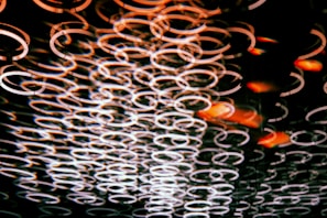 Bright, overlapping circles creating a sense of movement and fresh perspectives