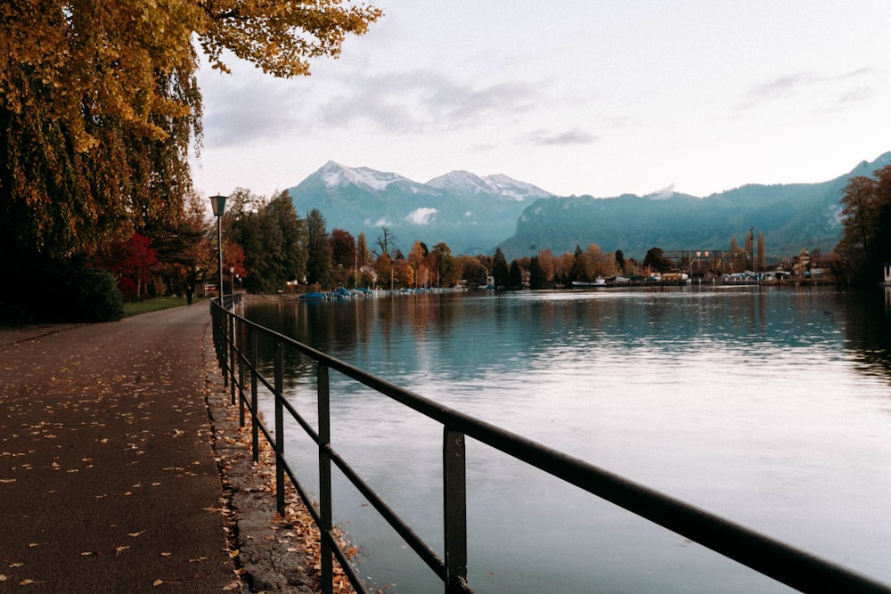 a body of water with trees and mountains in the background