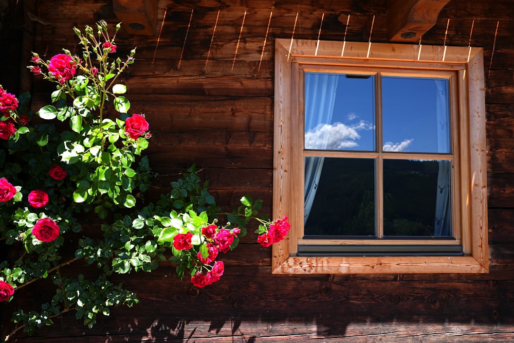 a window with flowers in front of it