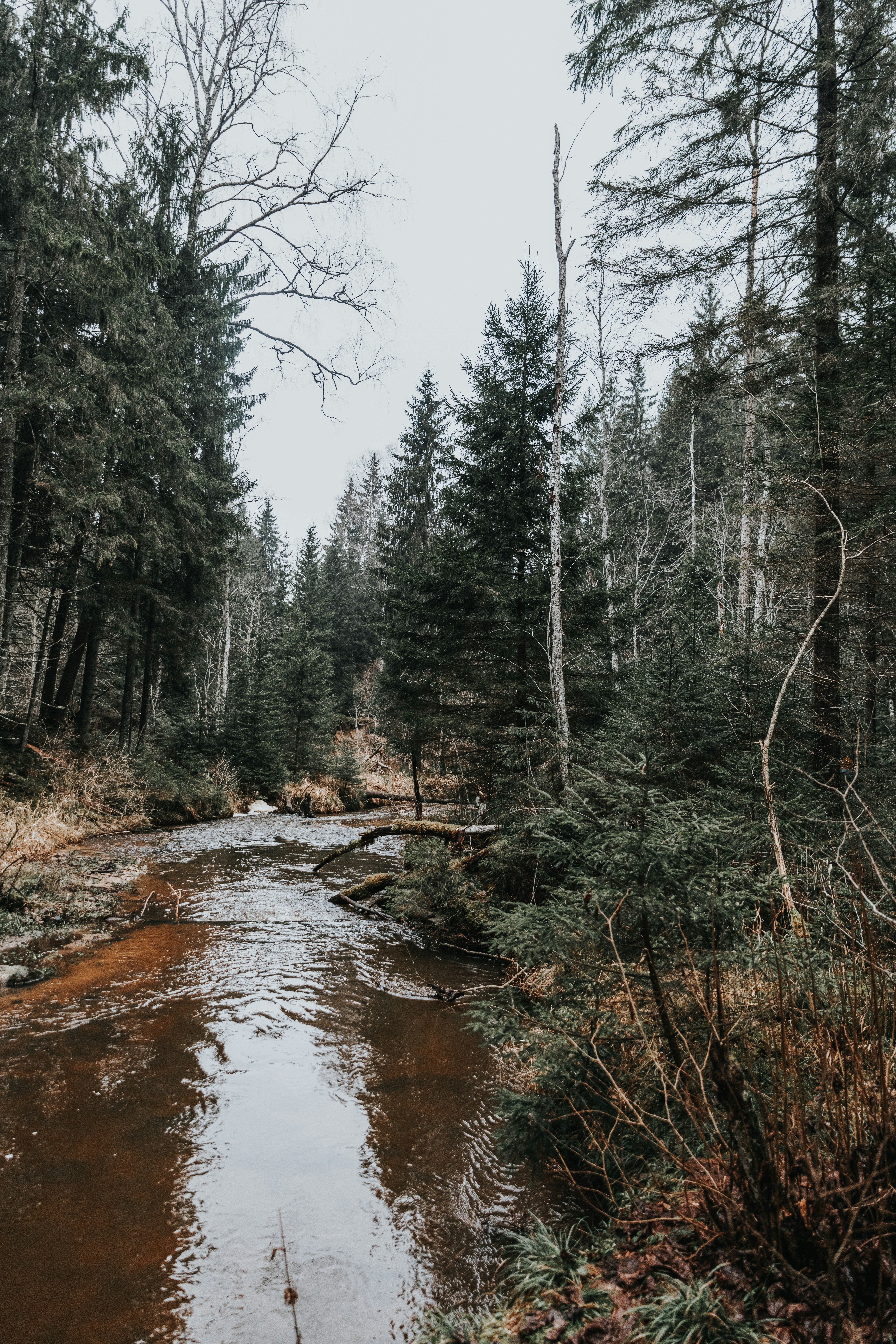 Photo by anitaaustvika