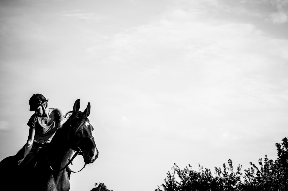 a person riding a horse