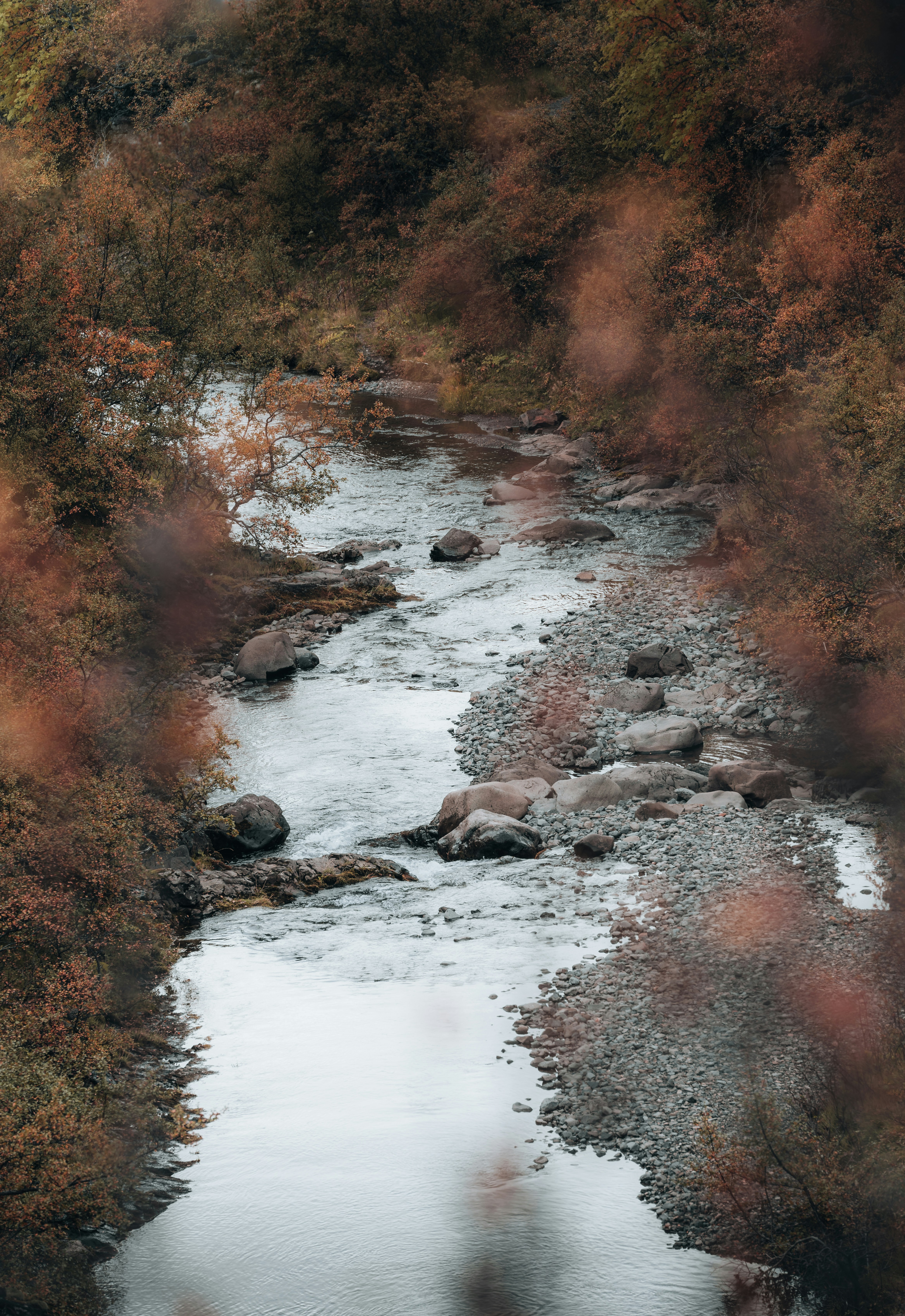 Photo by dylanleagh