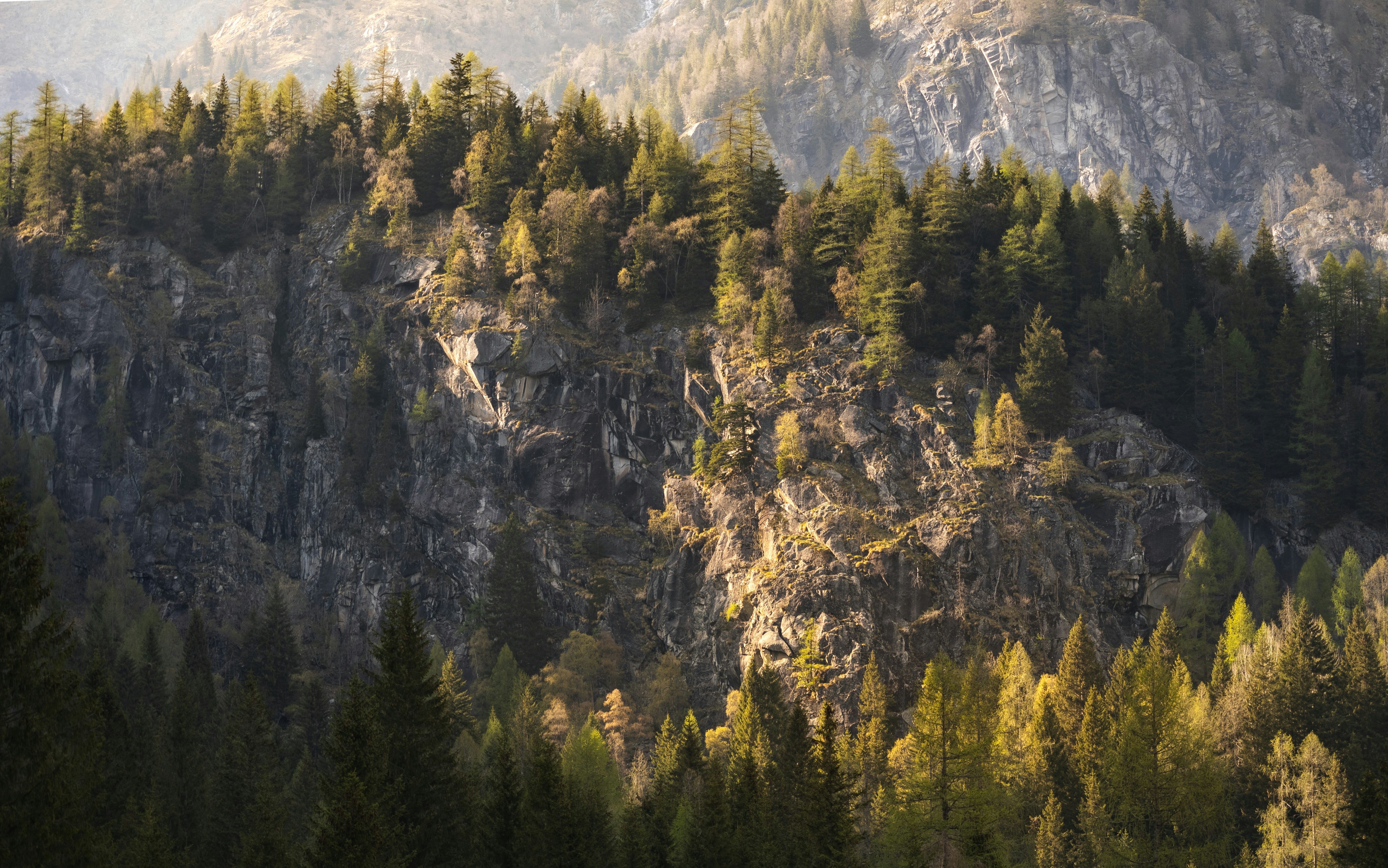 Photo by marekpiwnicki