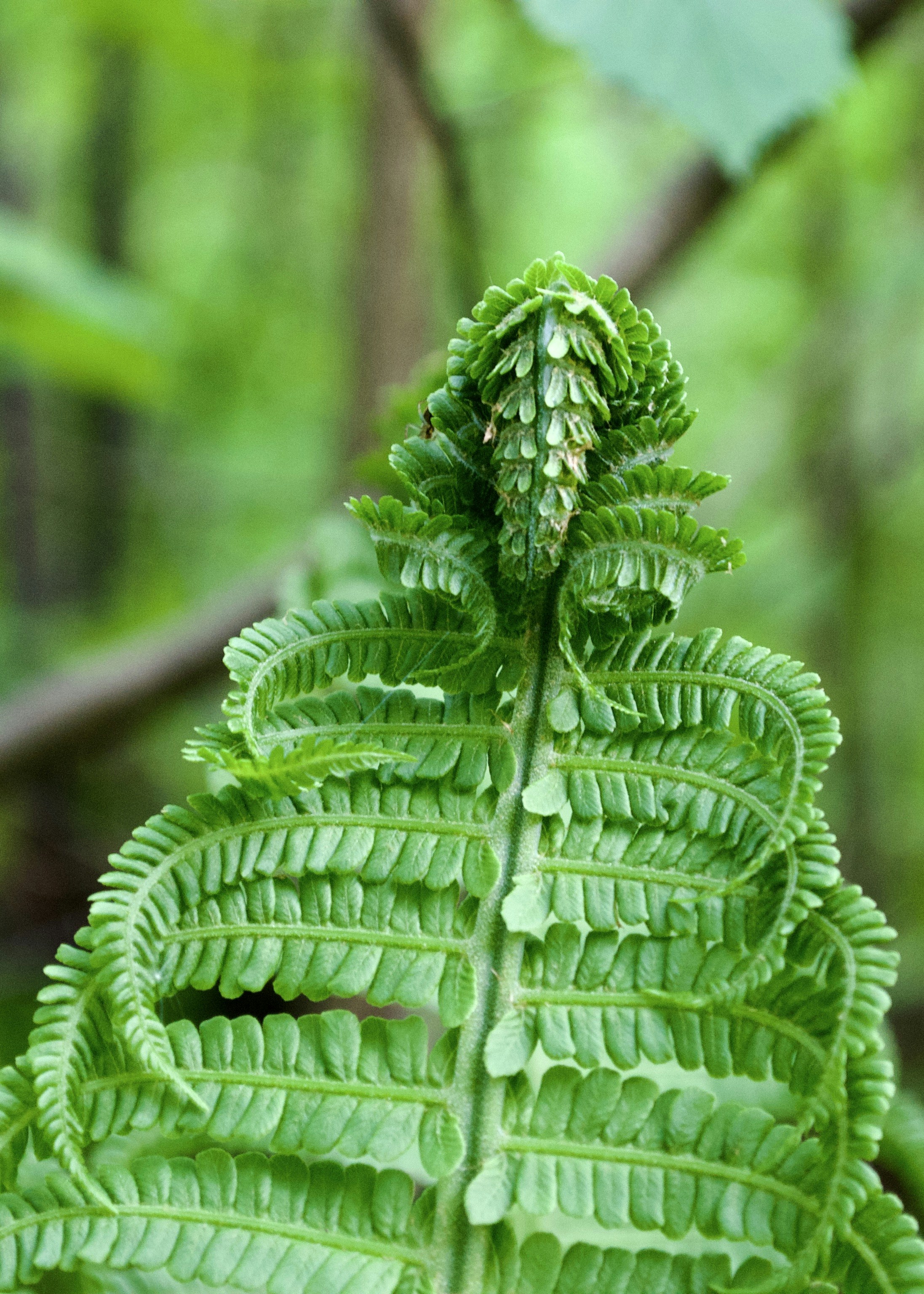 Photo by evgenslavin