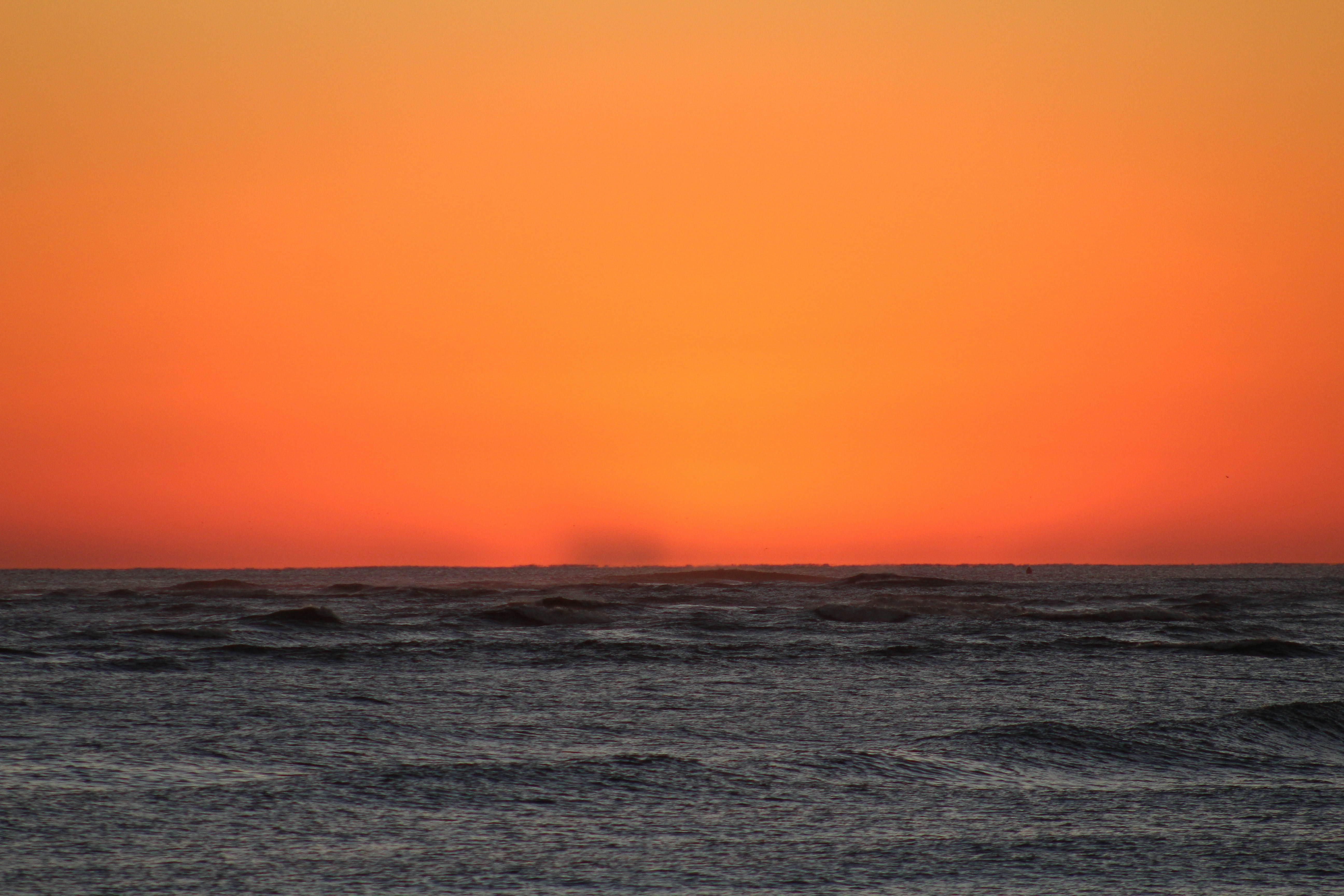 Photo by bluesoonart2