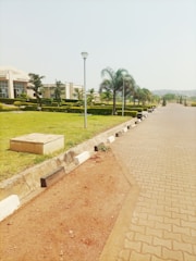 A landscaped campus pathway lined with palm trees, lamp posts, and manicured lawns. A large building with signage is visible on the left, and the area appears calm and well-maintained.