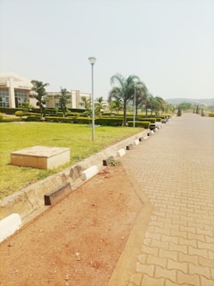 A landscaped campus pathway lined with palm trees, lamp posts, and manicured lawns. A large building with signage is visible on the left, and the area appears calm and well-maintained.