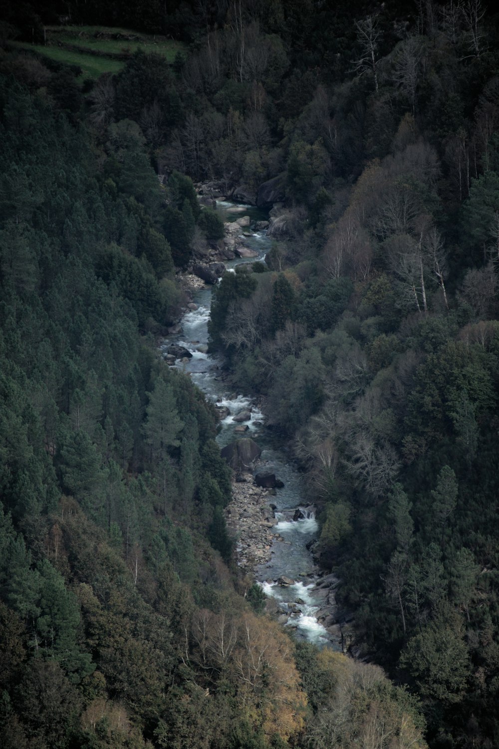 谷間を流れる川