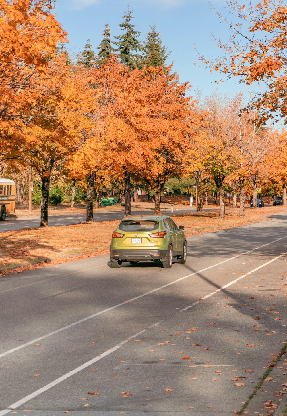 a green car parked on a road with trees on either side of it