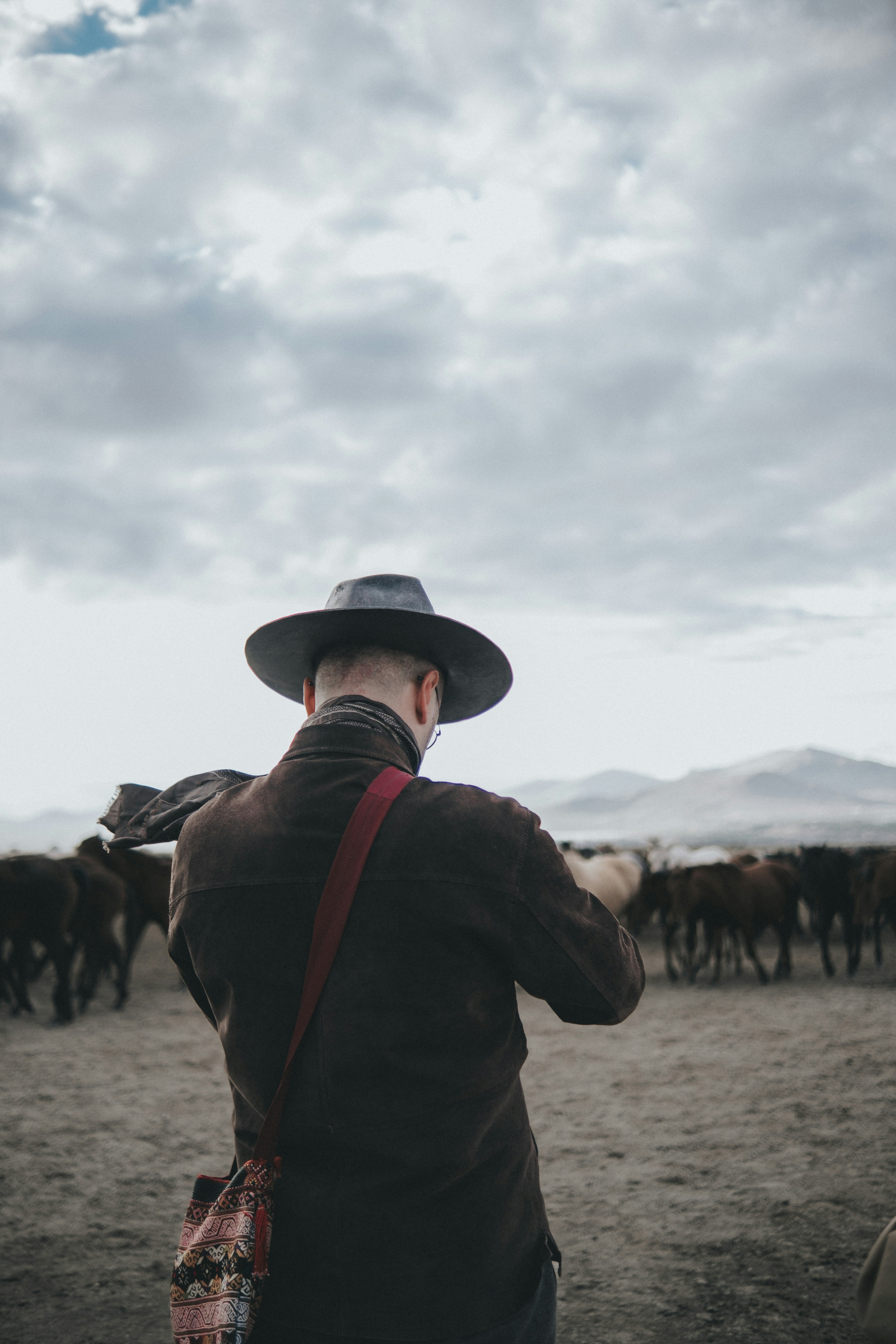 Photo by feyzayildirim