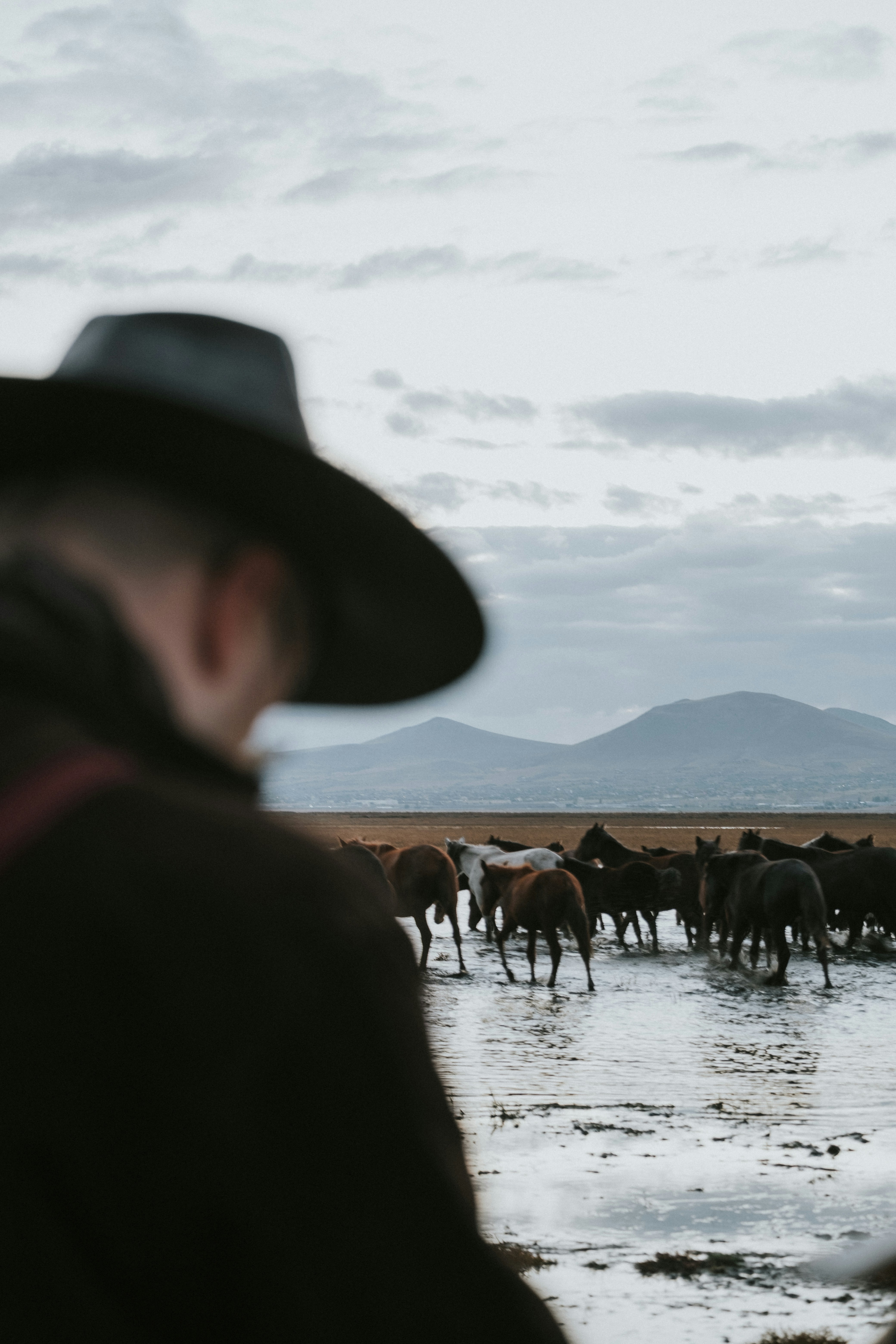 Photo by feyzayildirim