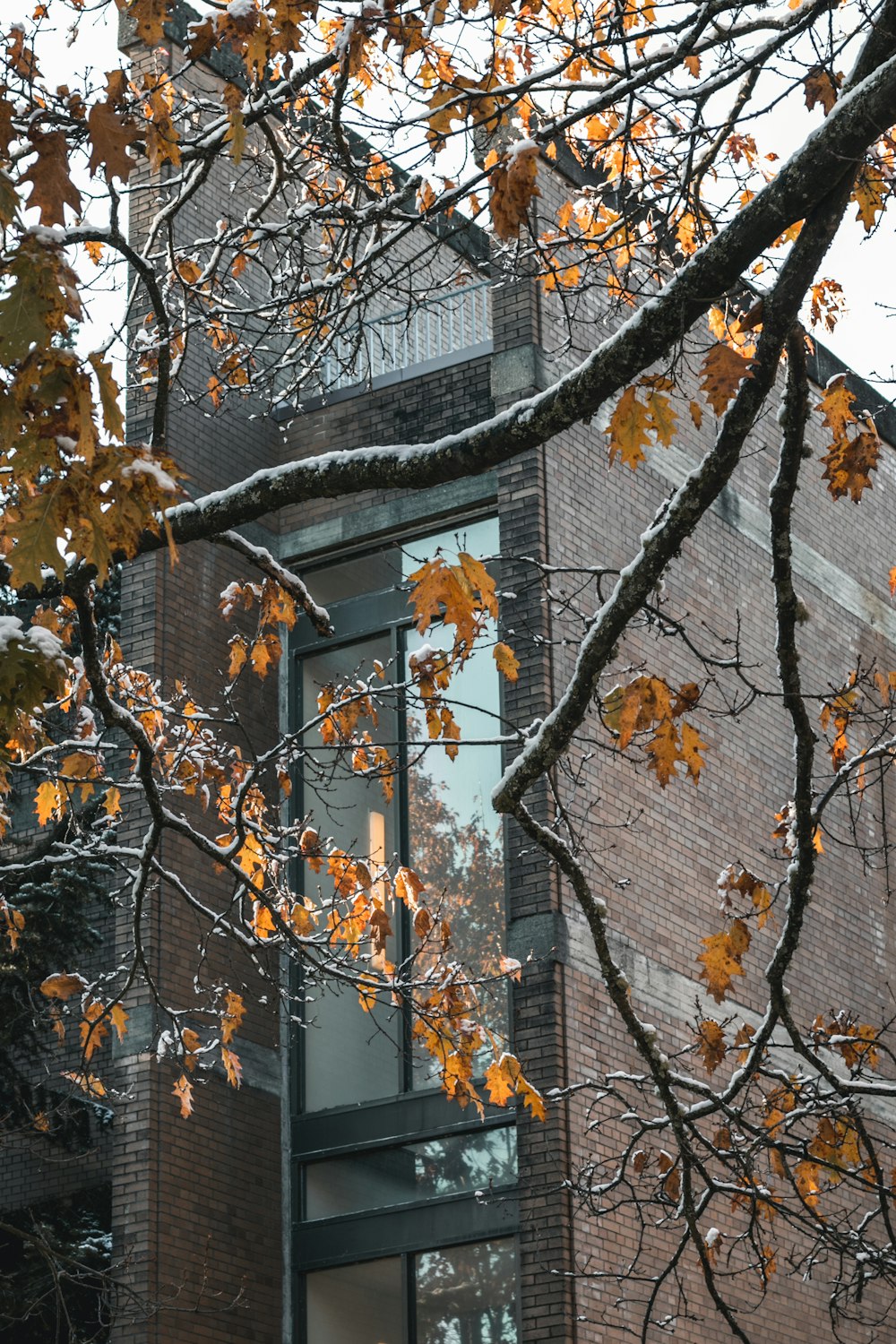 a building with a tree in front of it