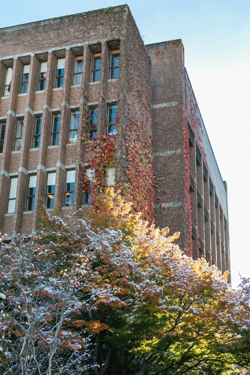 a tall building with many windows