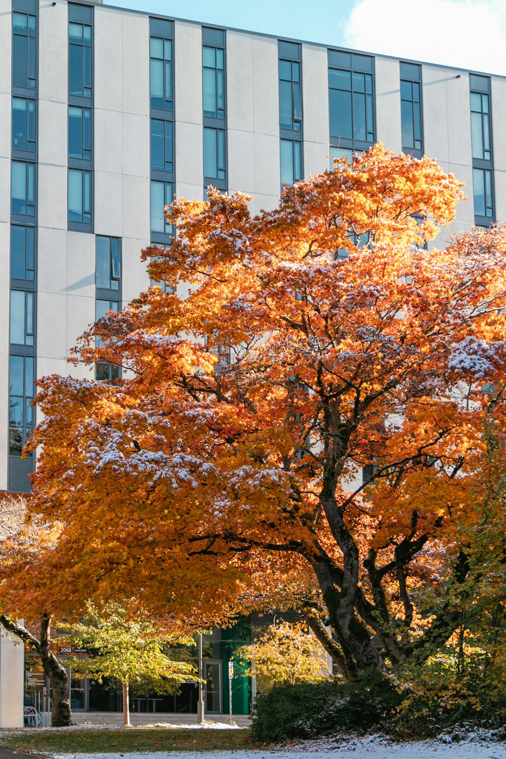 a building with trees in front of it