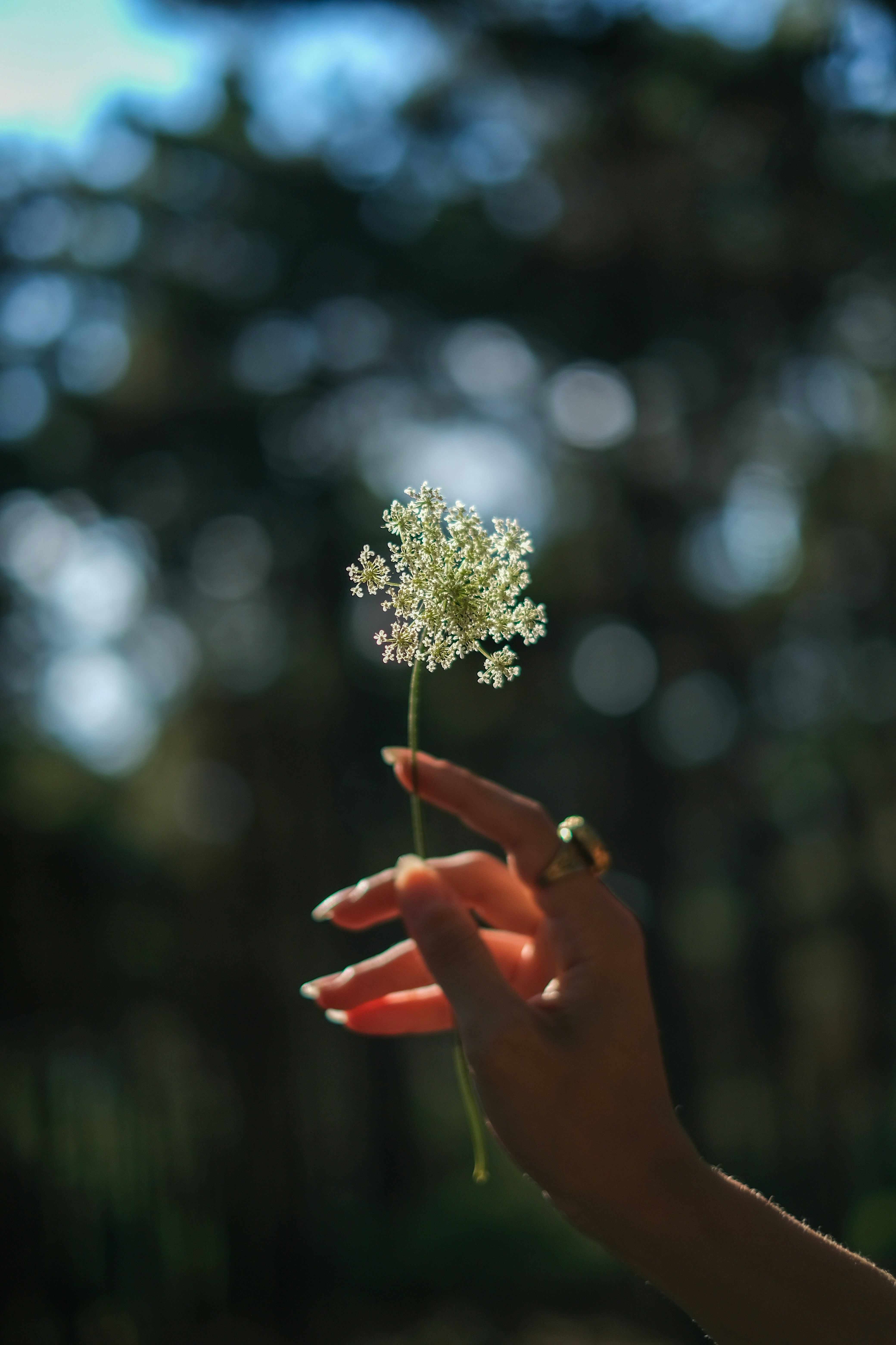 Photo by haticebaran
