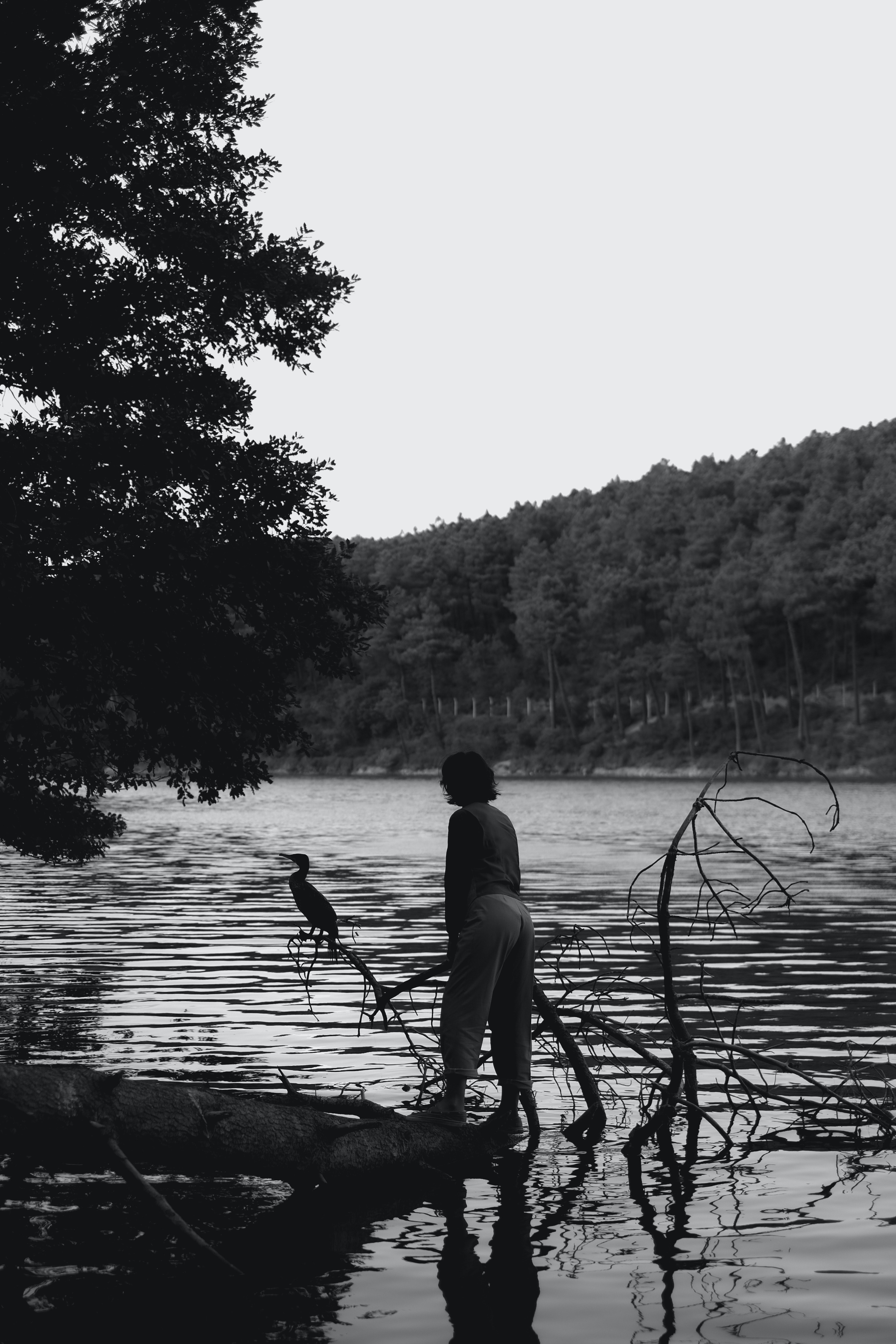 Photo by haticebaran