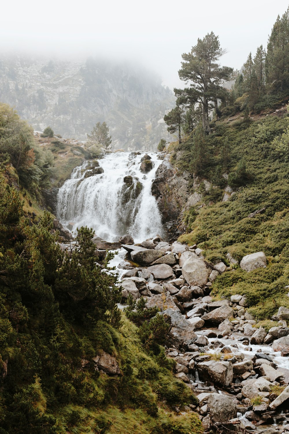 a waterfall in a forest