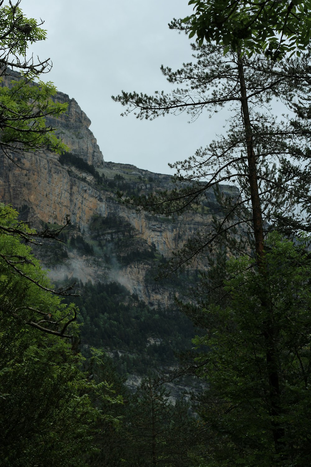 a waterfall in a forest