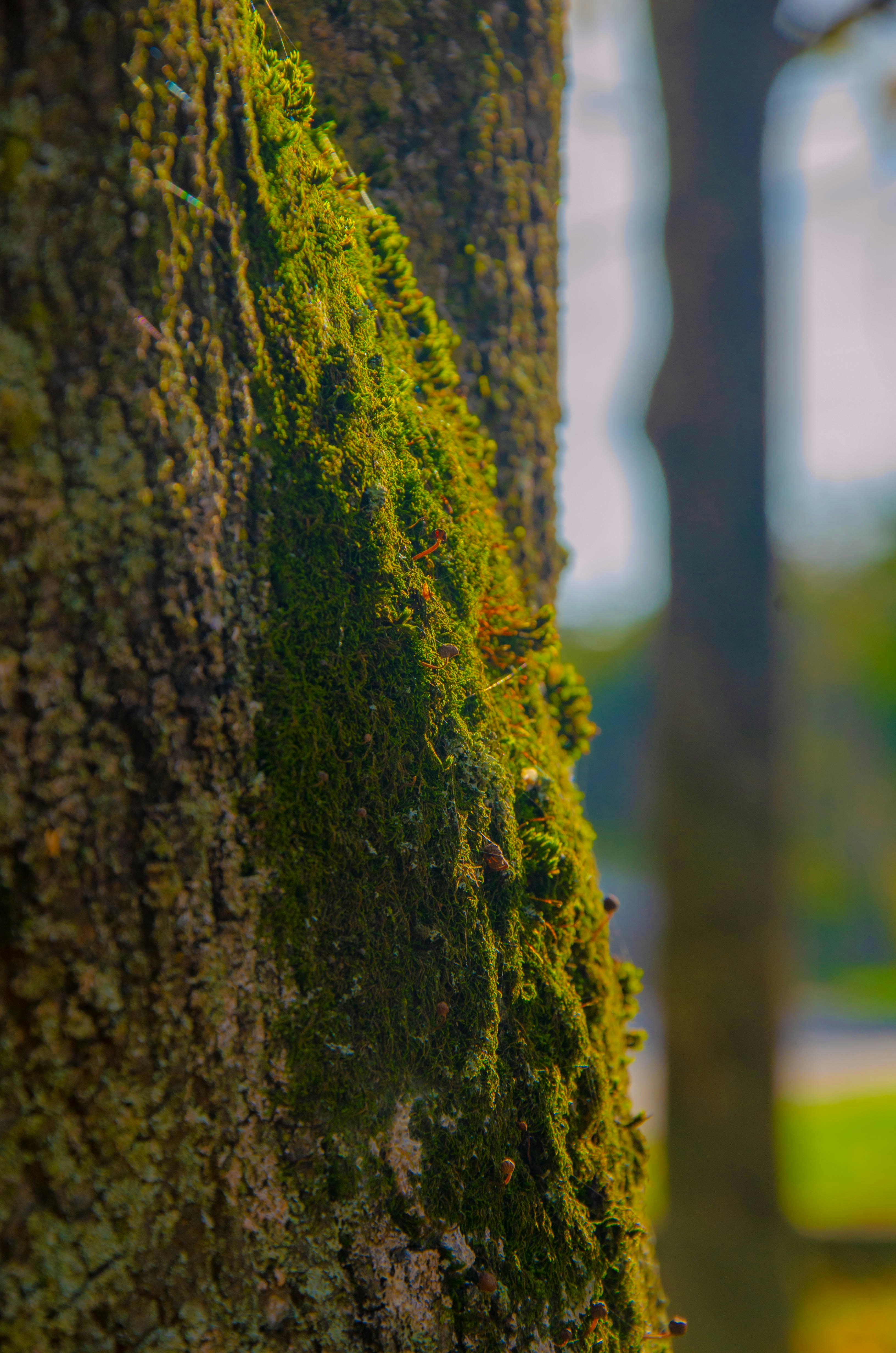 Photo by _florens_spenser_