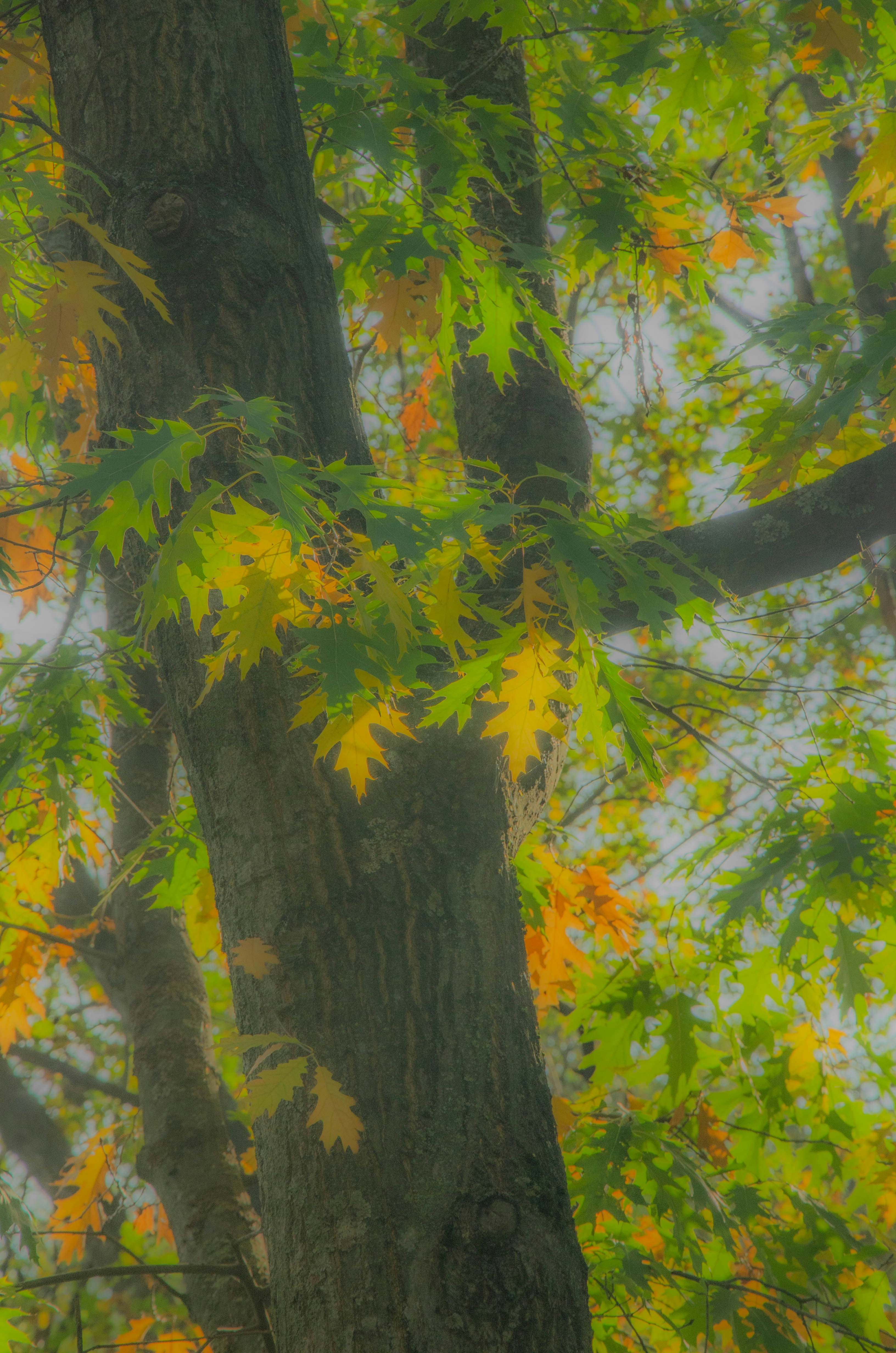 Photo by _florens_spenser_