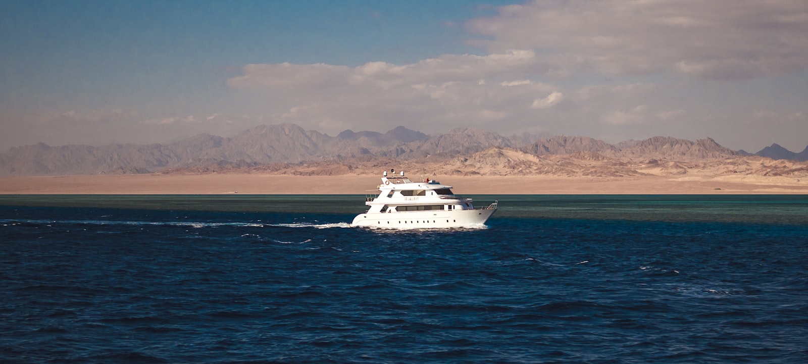 Whale shark encounter in the southern Red Sea