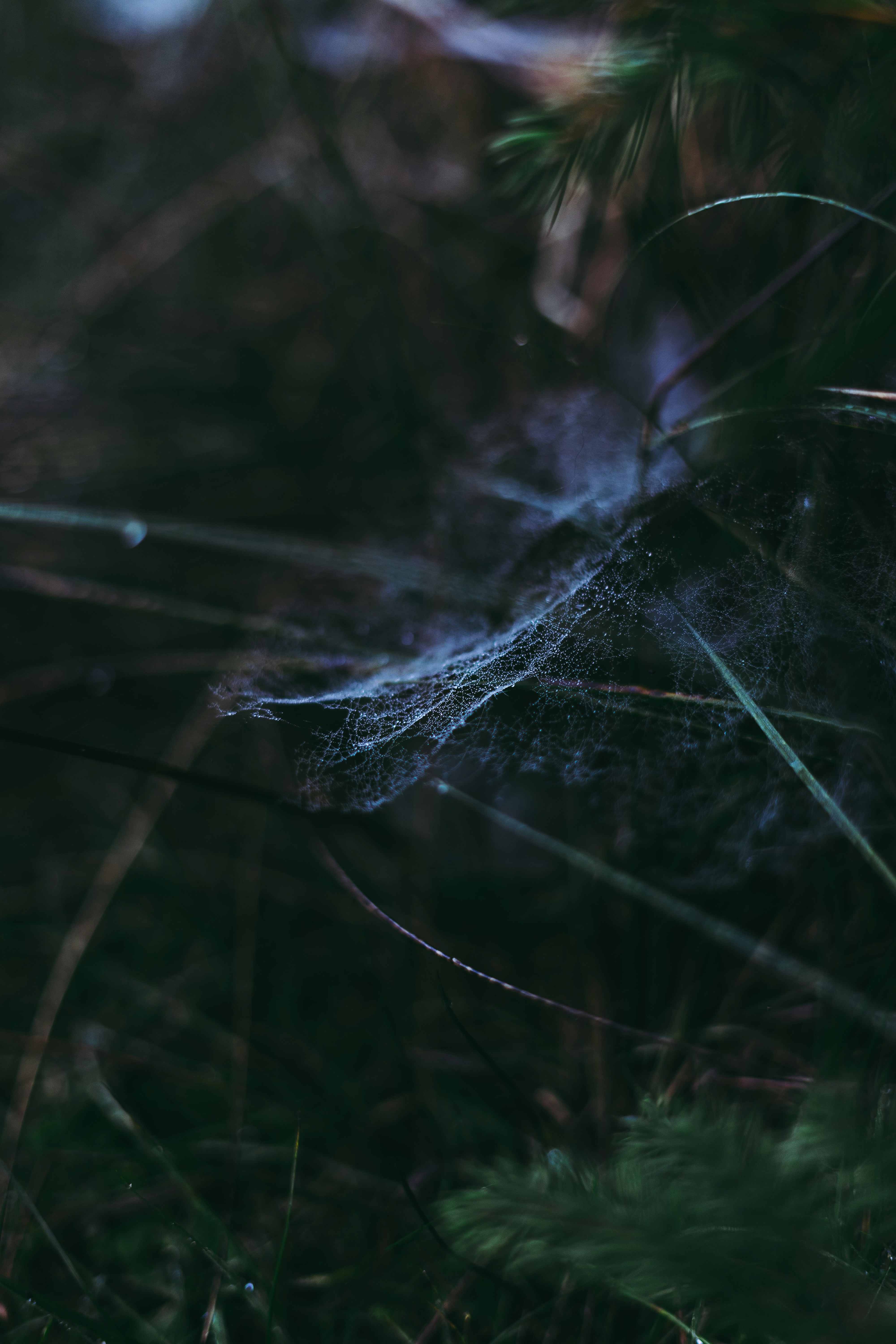 Photo by virussinside