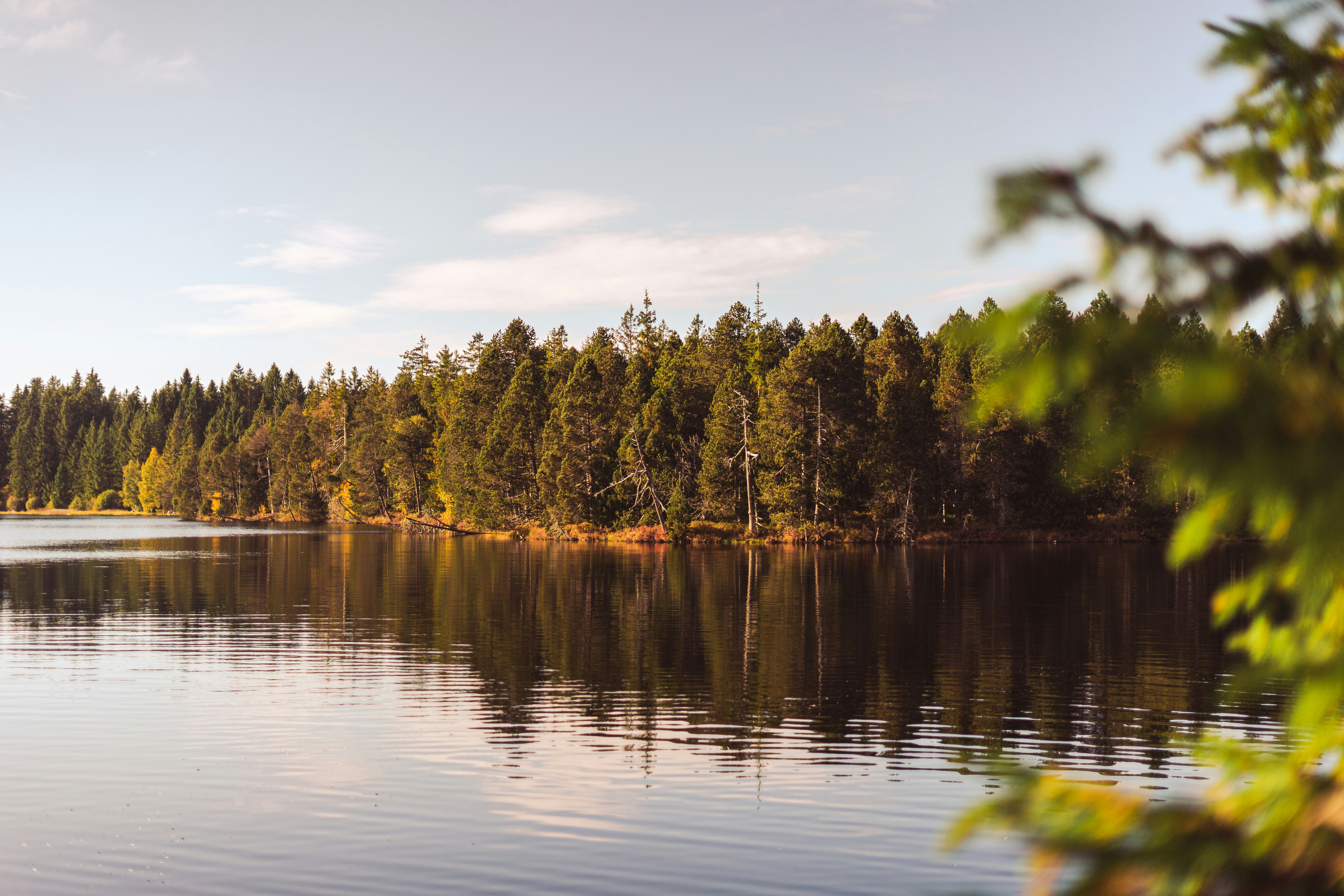 Photo by virussinside