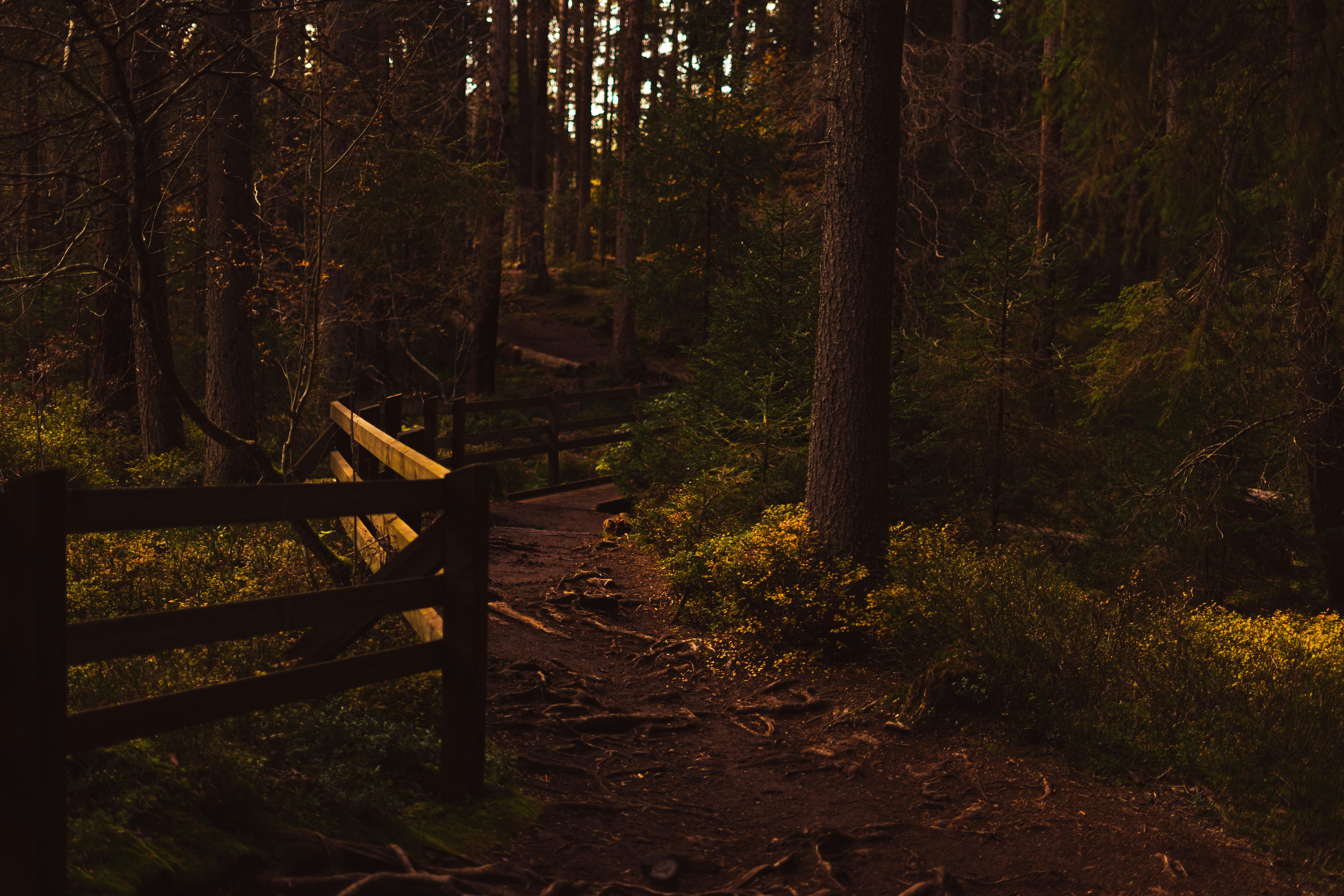 Photo by virussinside