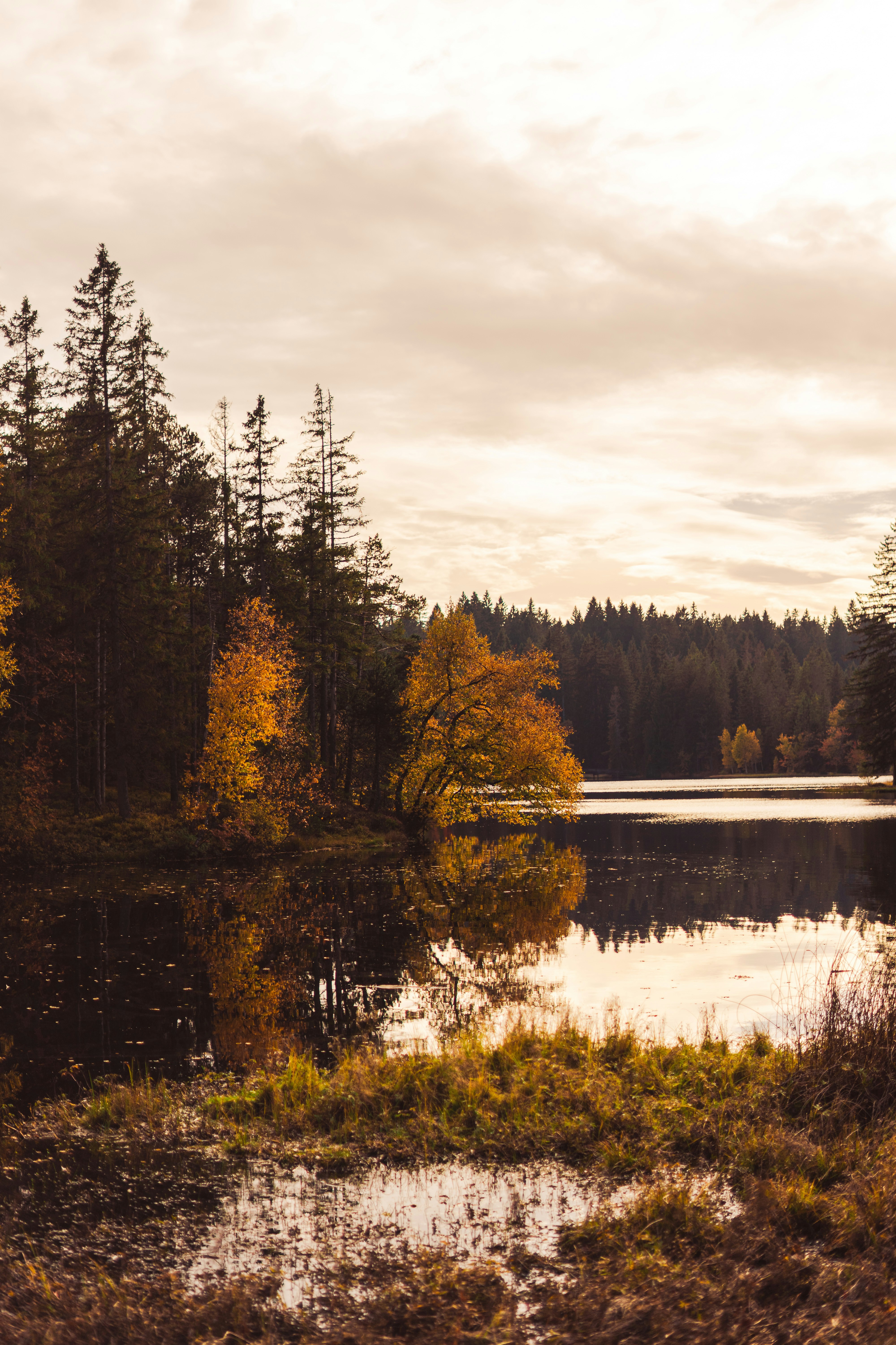 Photo by virussinside