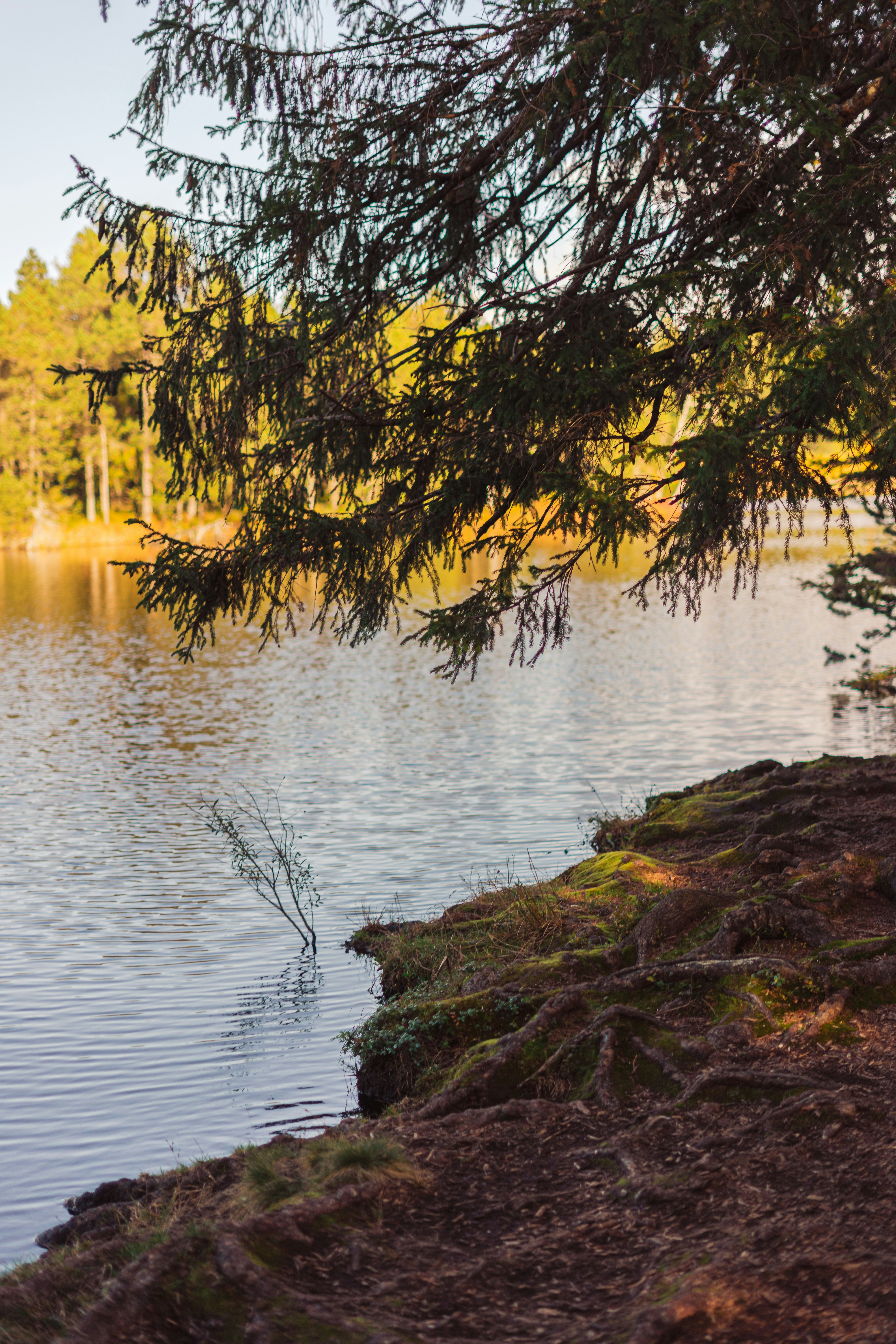 Photo by virussinside