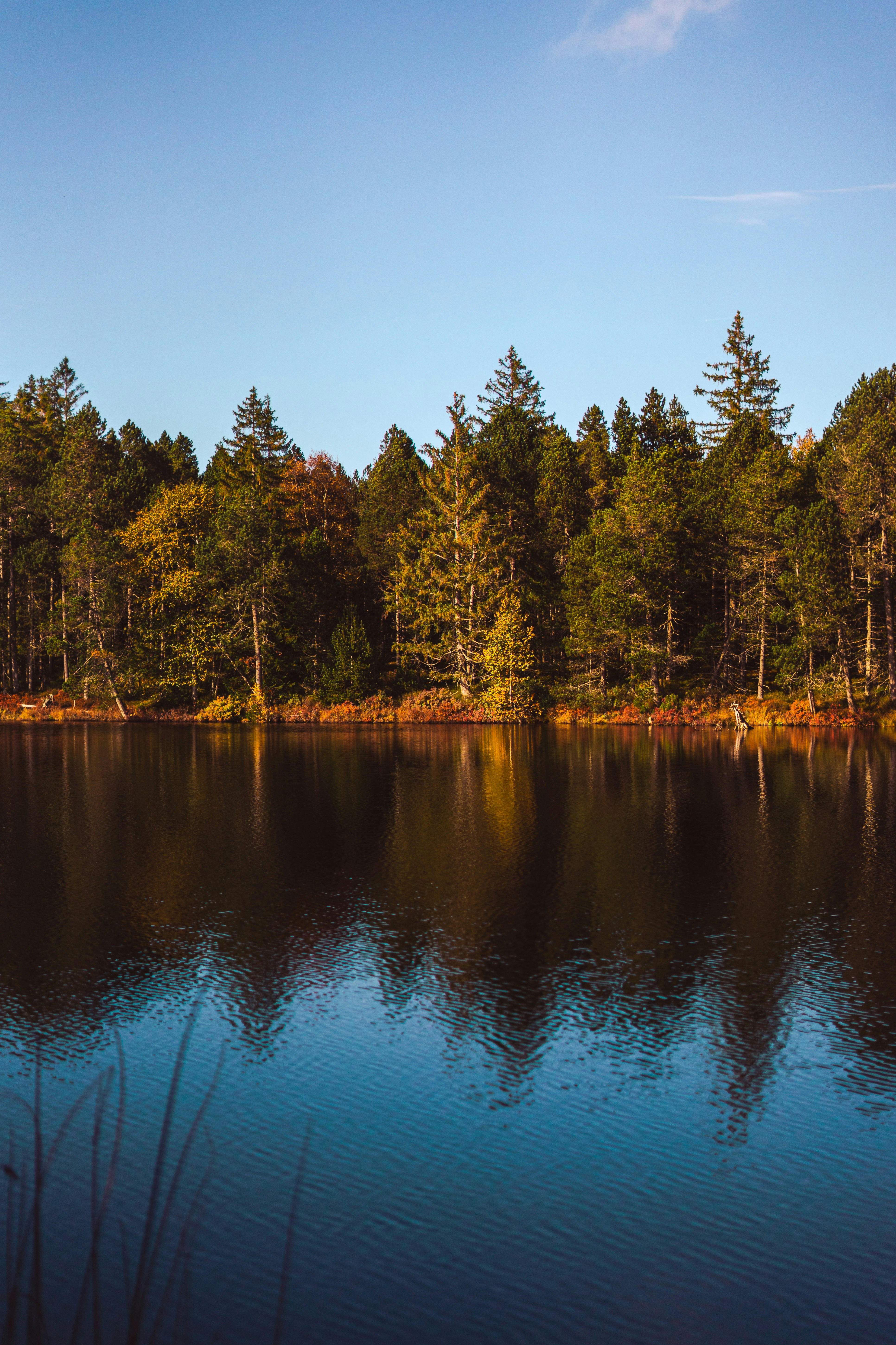 Photo by virussinside