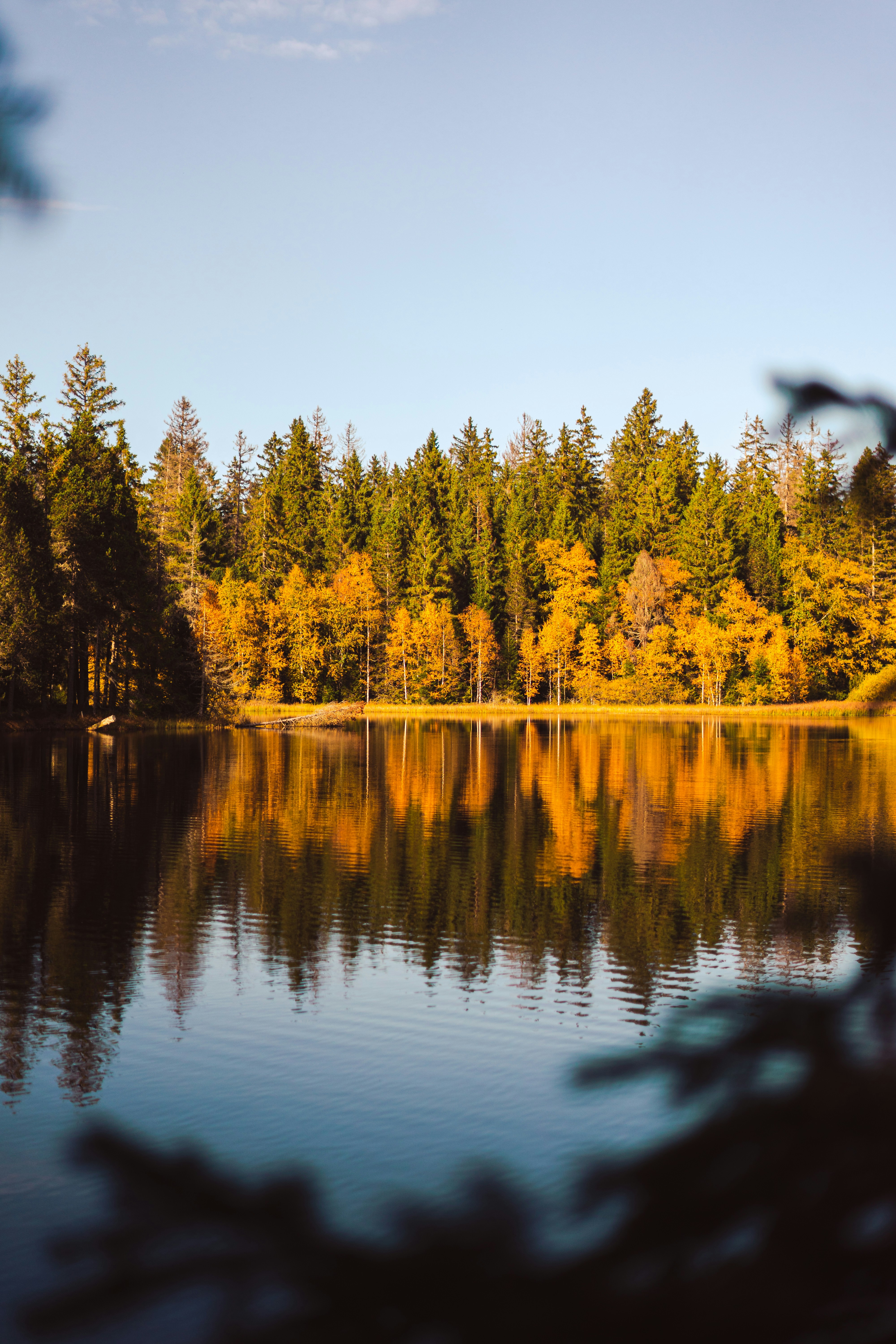 Photo by virussinside