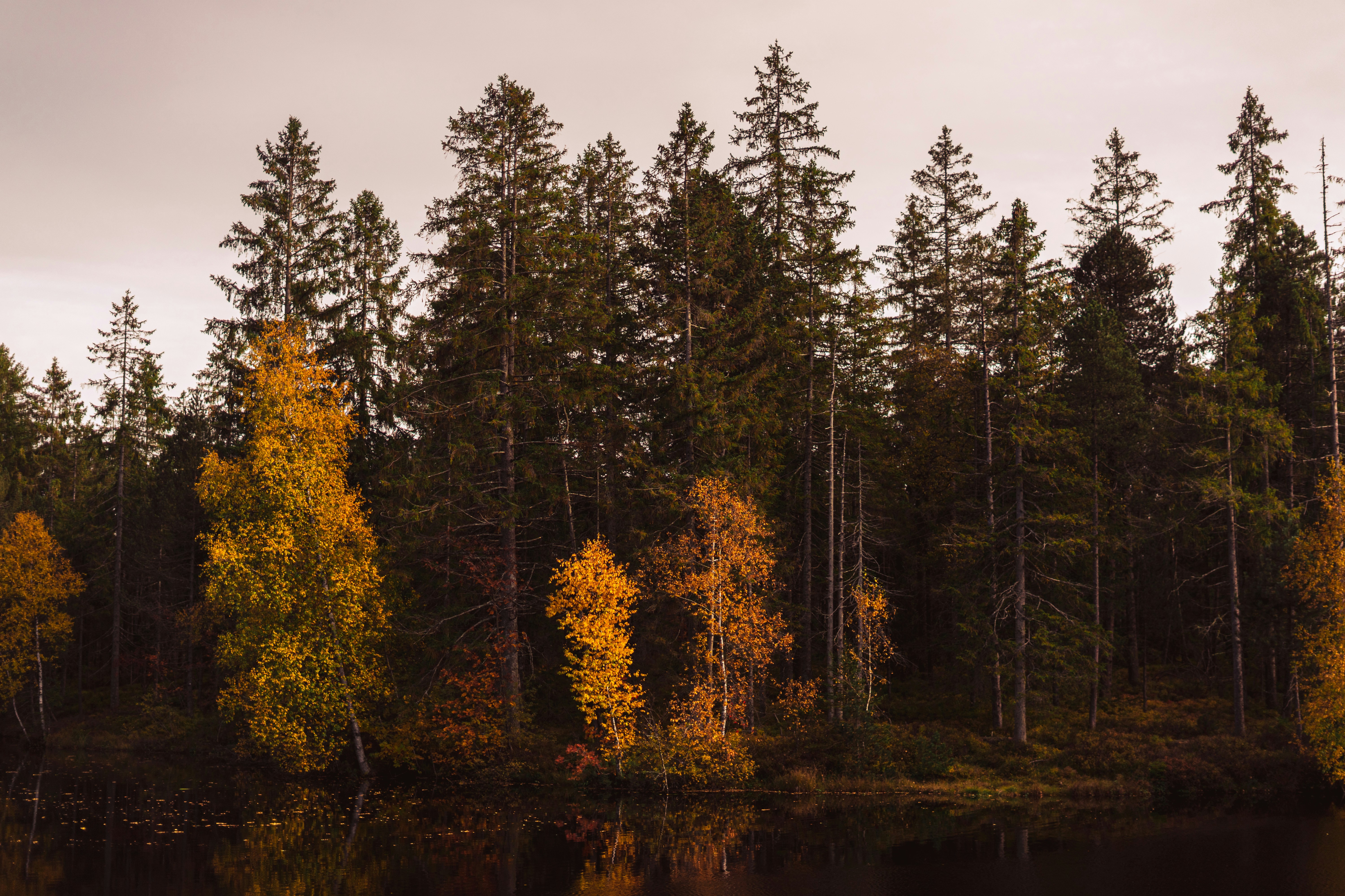 Photo by virussinside