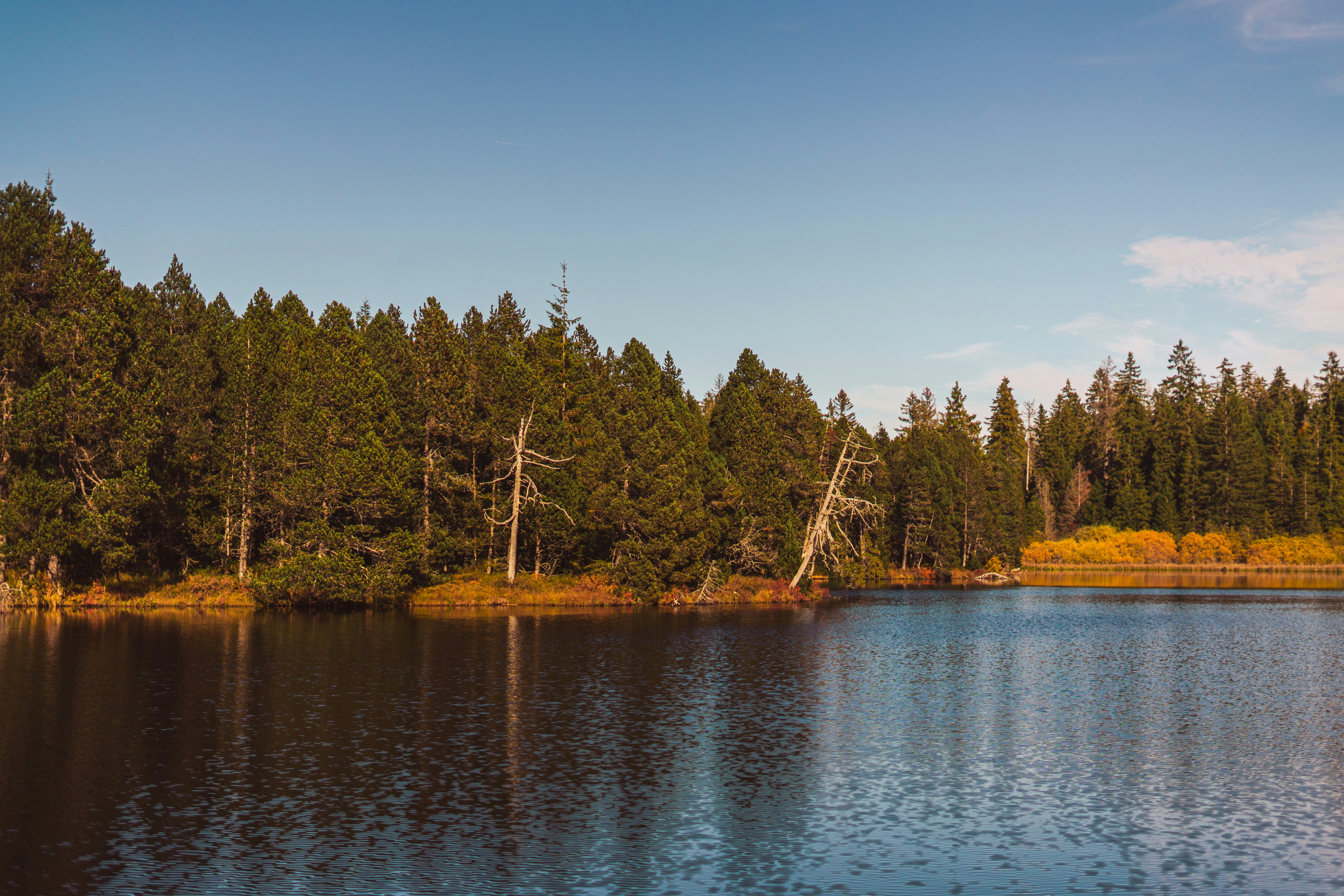 Photo by virussinside