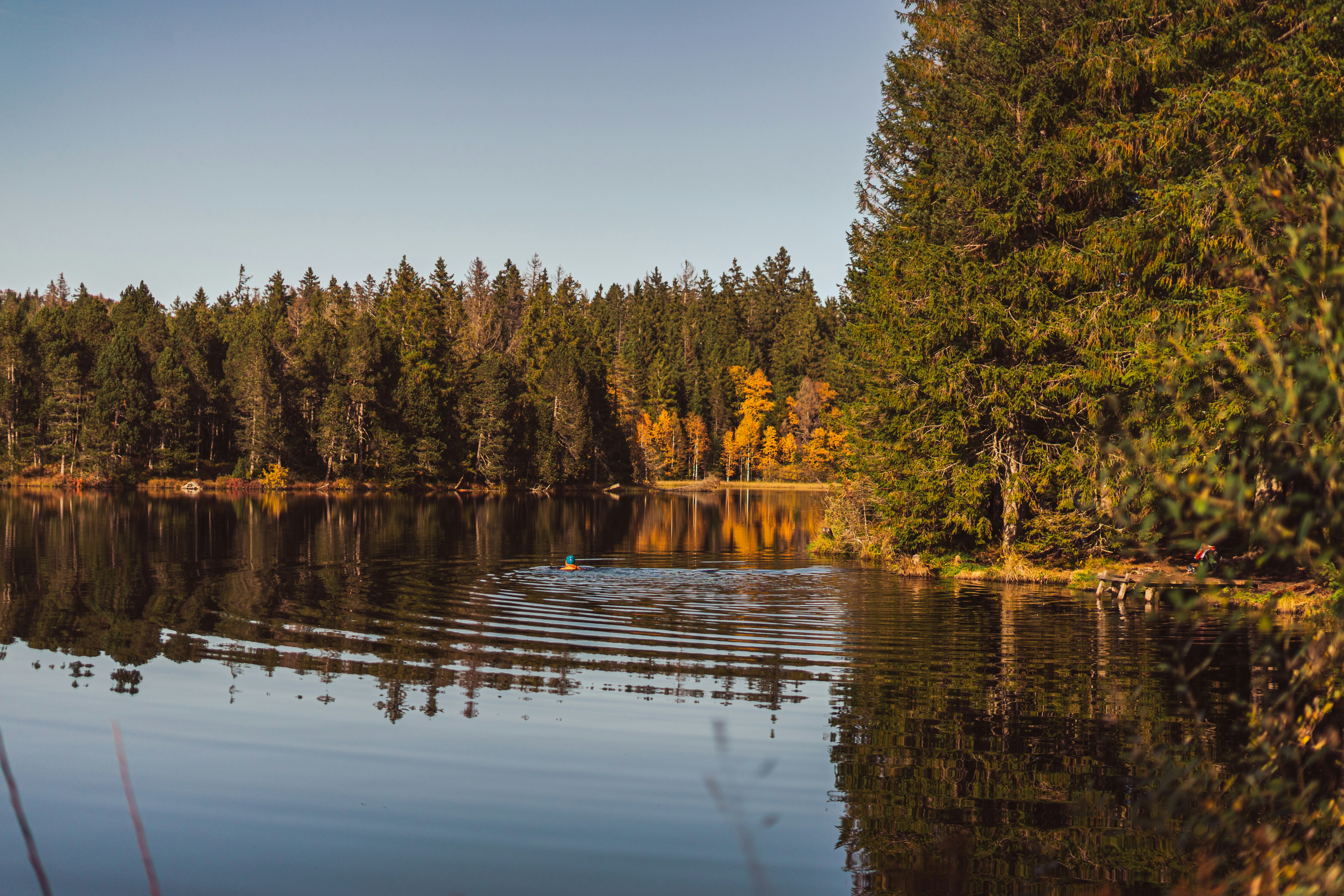 Photo by virussinside