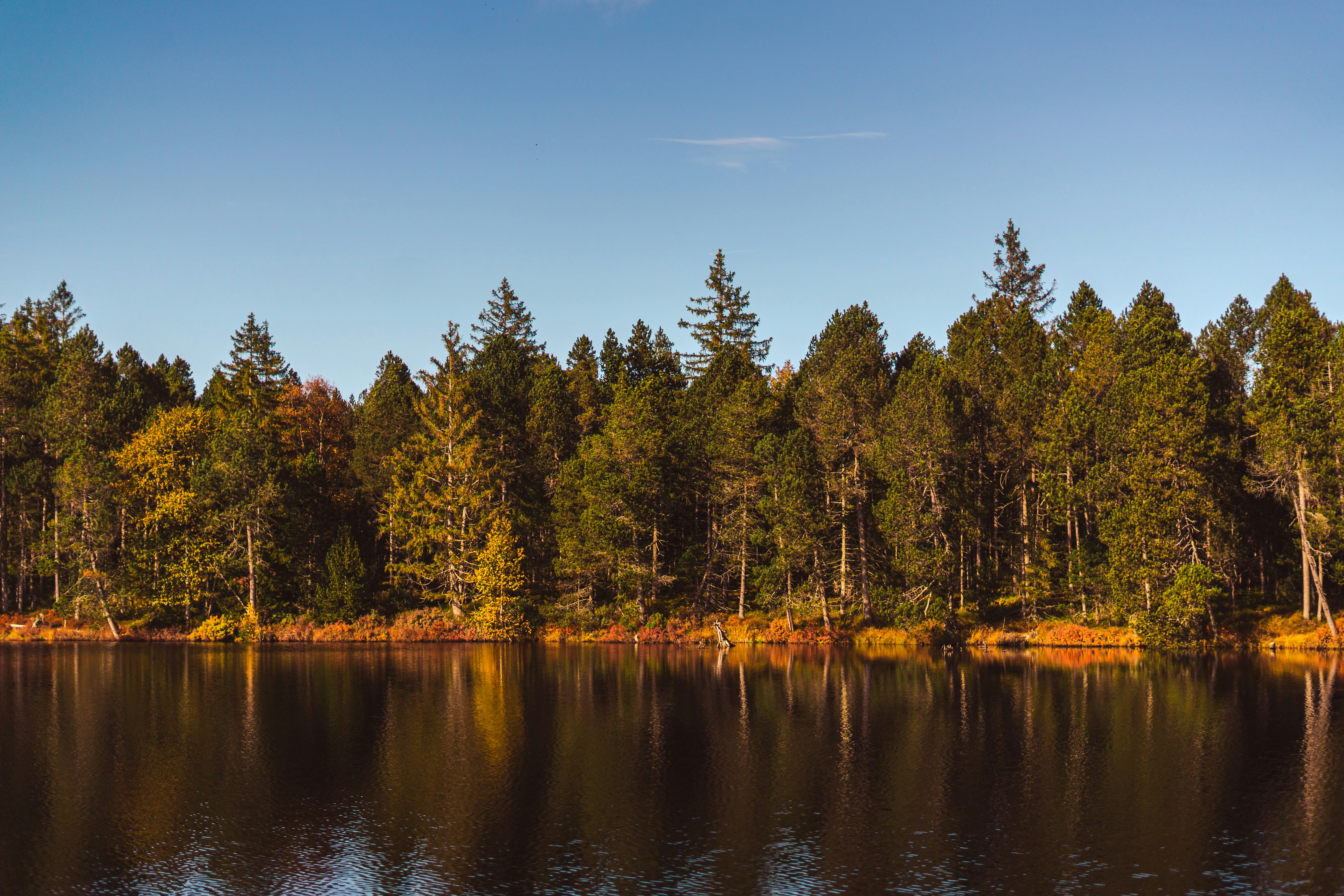 Photo by virussinside