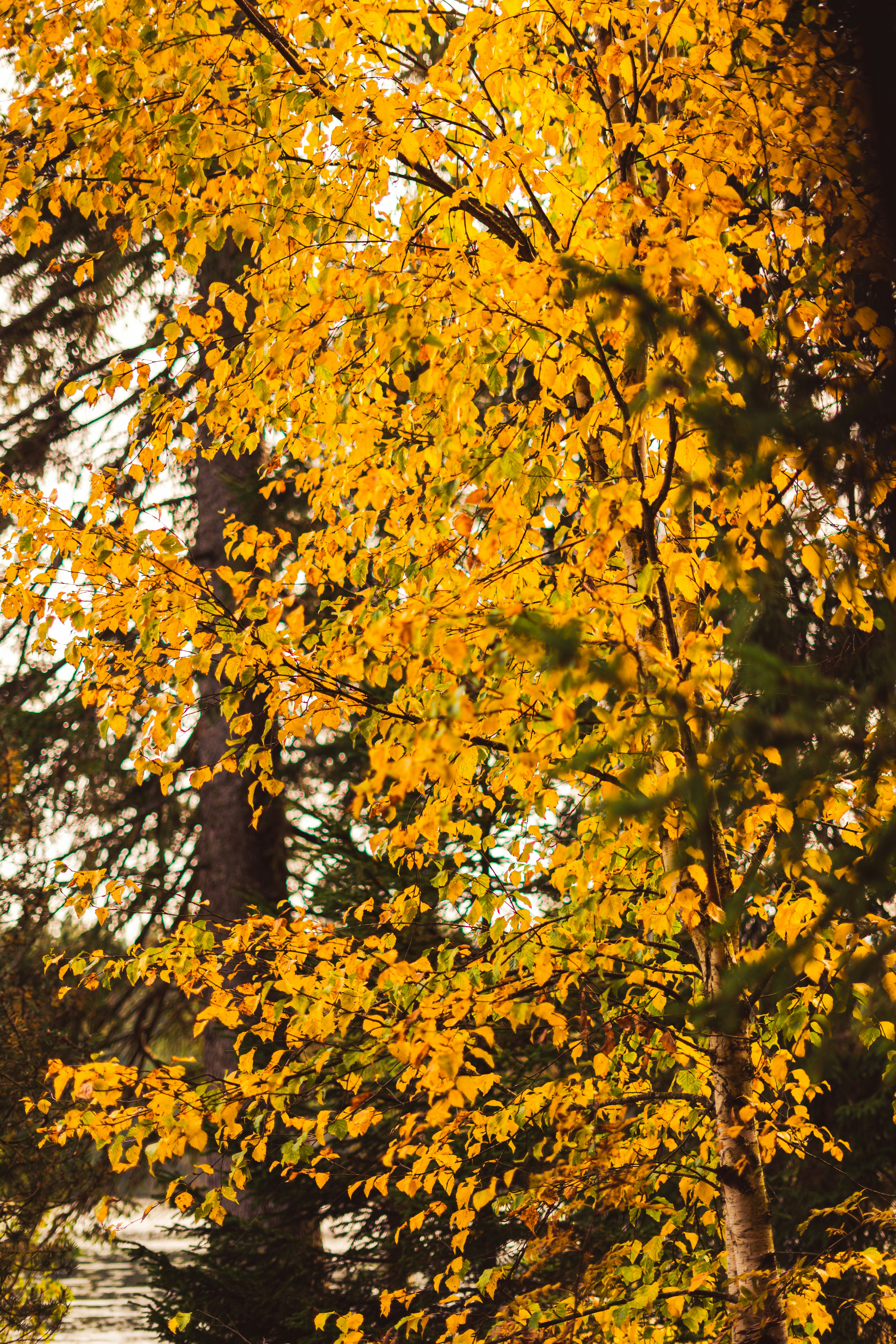 Photo by virussinside