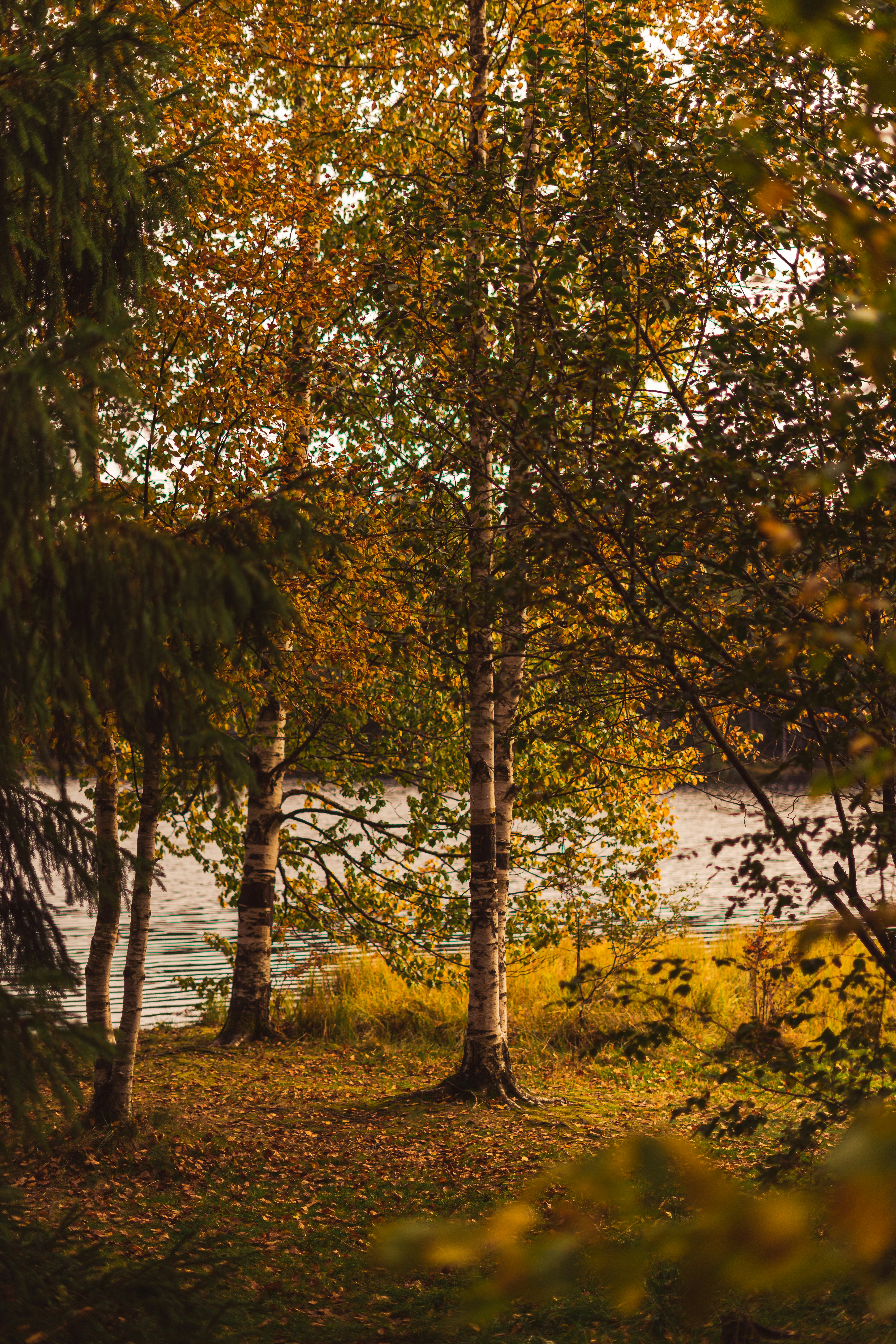 Photo by virussinside