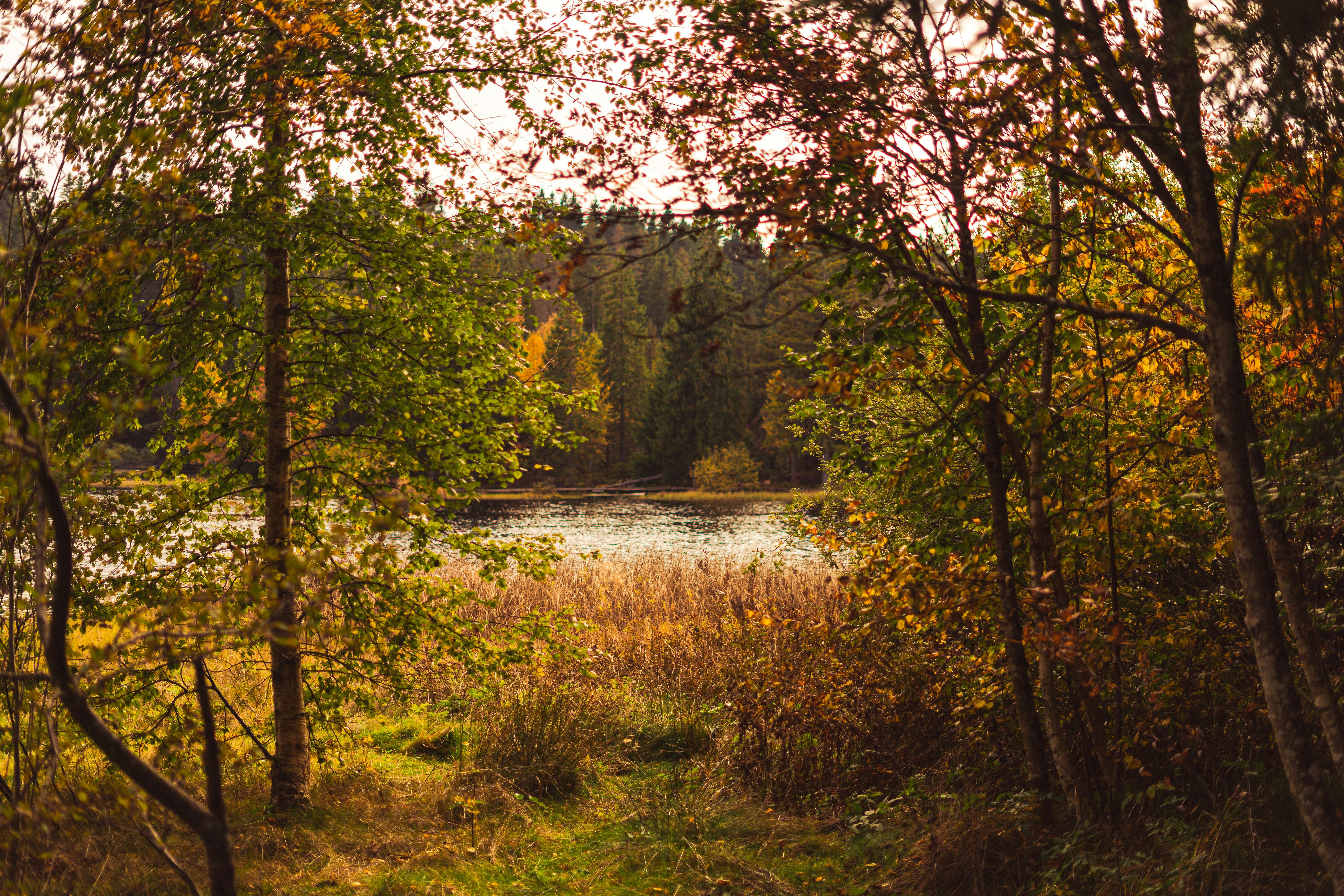 Photo by virussinside