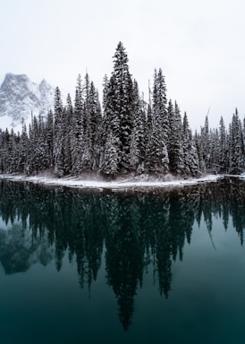 balance and symmetry for photo composition,how to photograph a lake with trees and mountains in the background