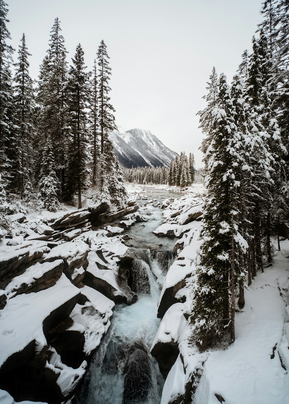 a snowy mountain with trees