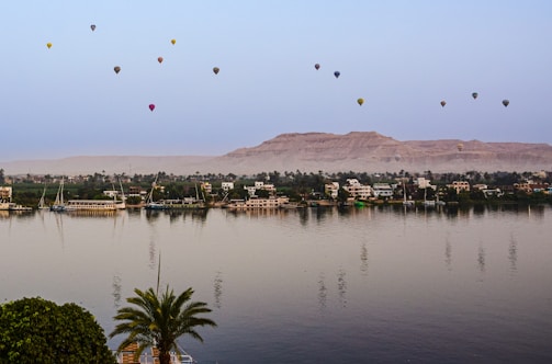 a group of hot air balloons over a city