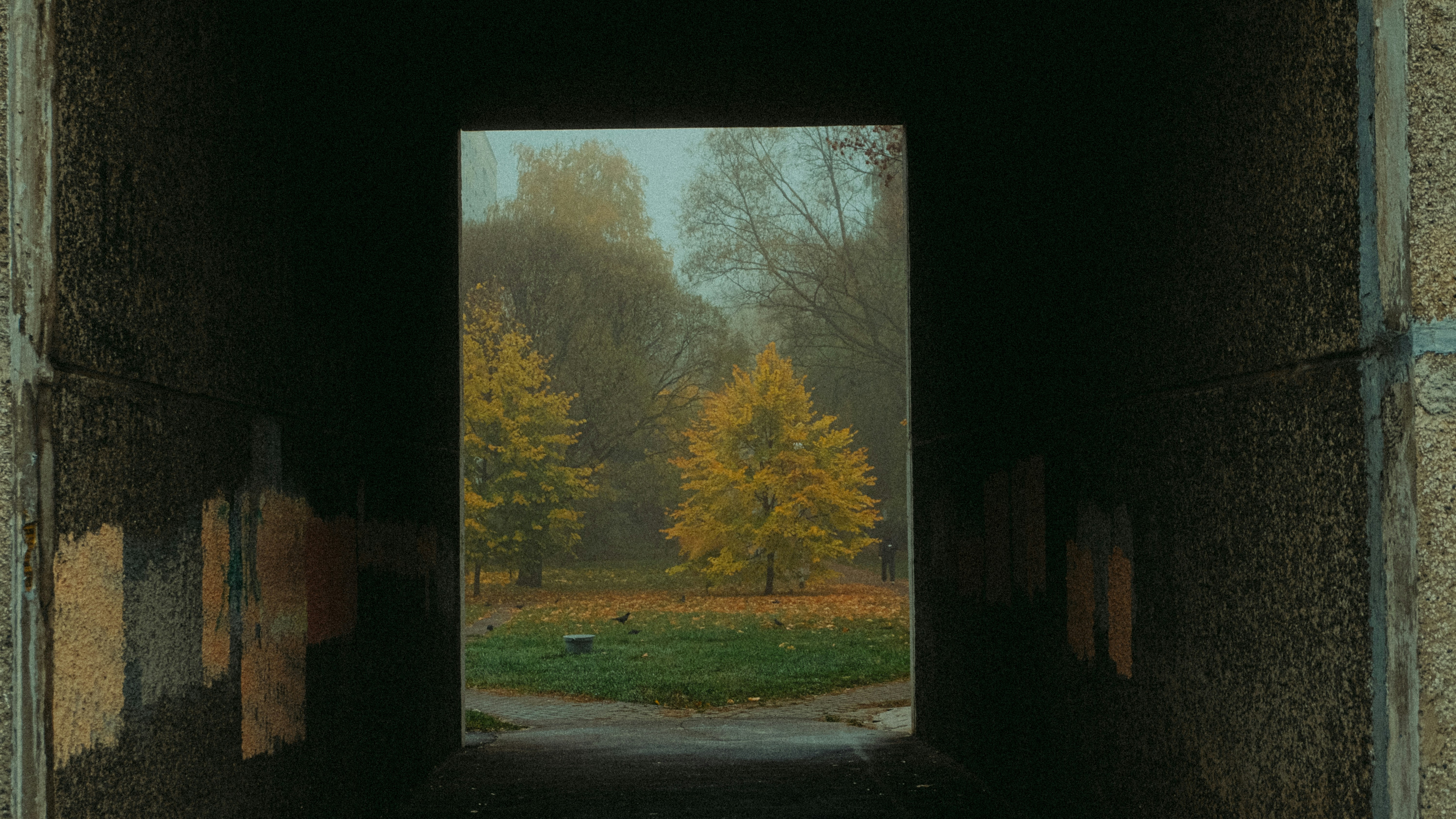 a view of a field through a window of a building with trees