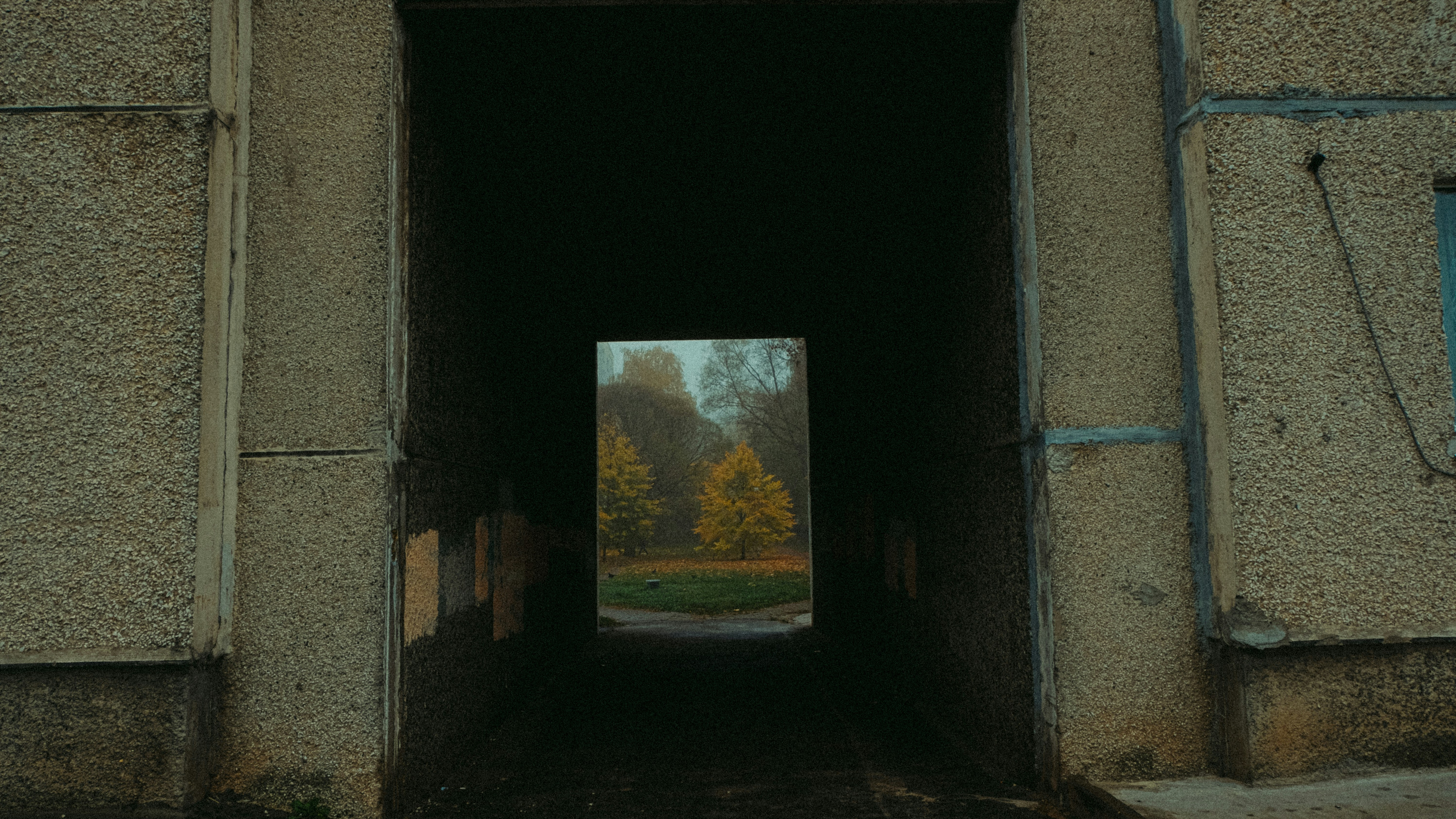 a view of a field through a window of a building