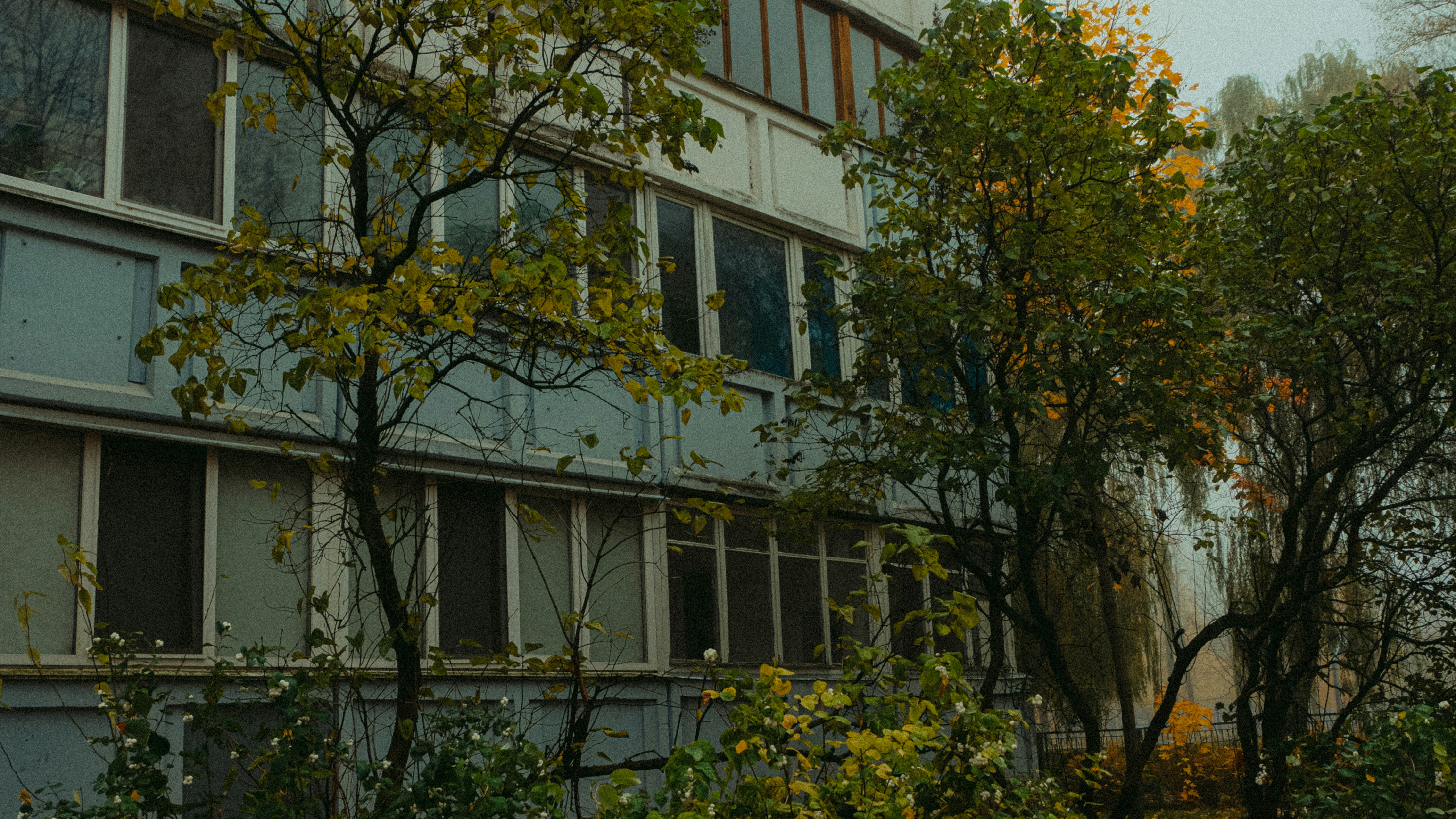 a building with trees in front of it