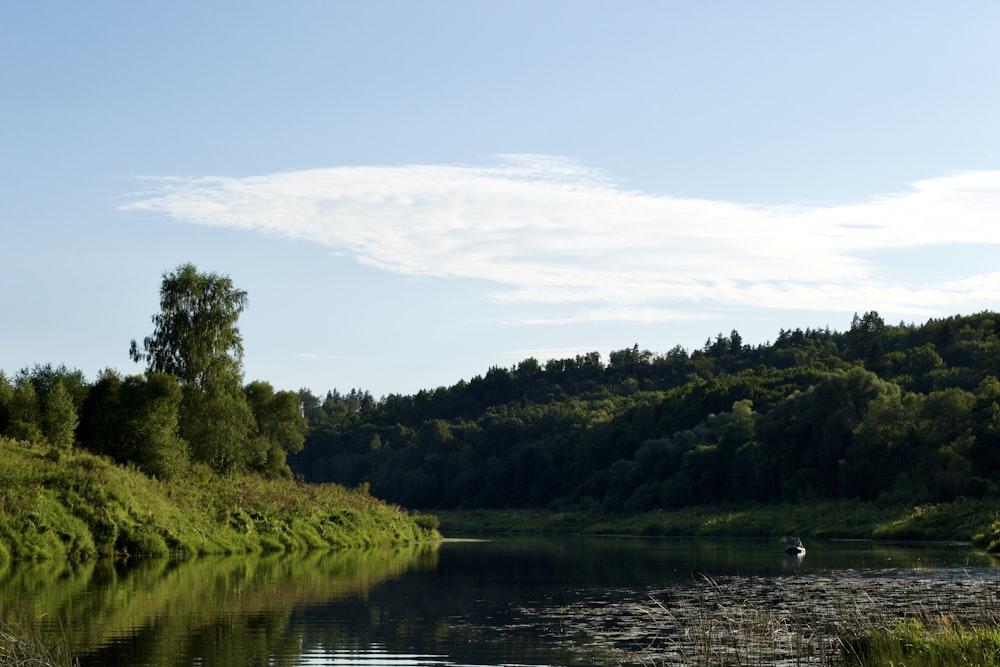 a river with trees and bushes around it