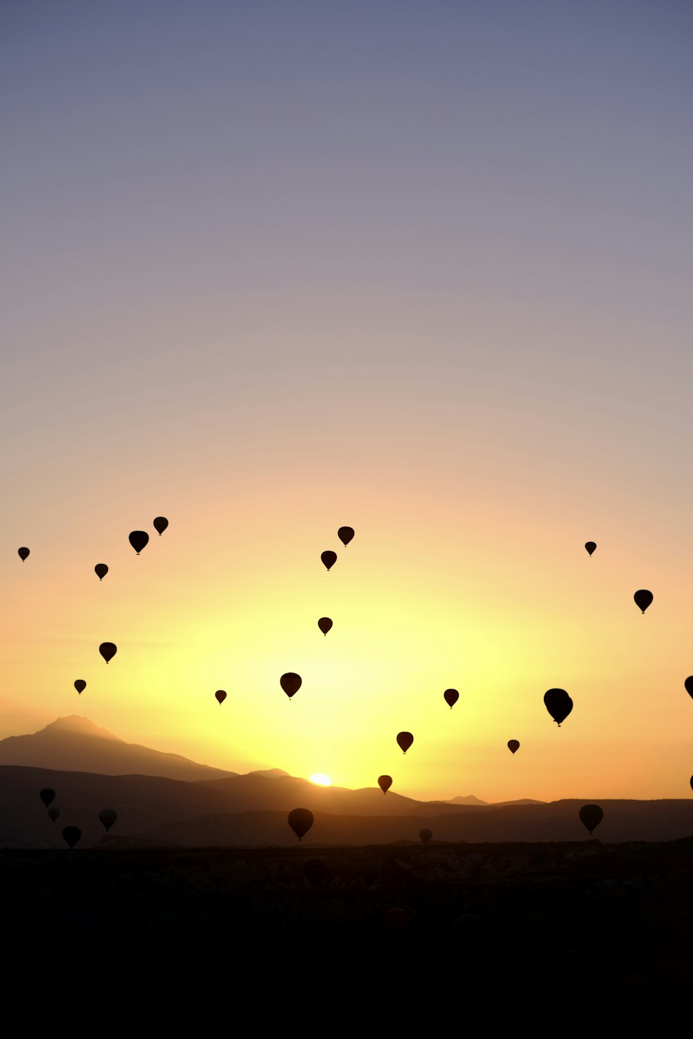 a group of hot air balloons in the sky