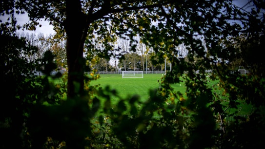 Through a gap in the foliage, a well-maintained soccer field is visible. The field is surrounded by trees and features a white goalpost in the center. The grass is lush and green, indicating a well-kept environment.